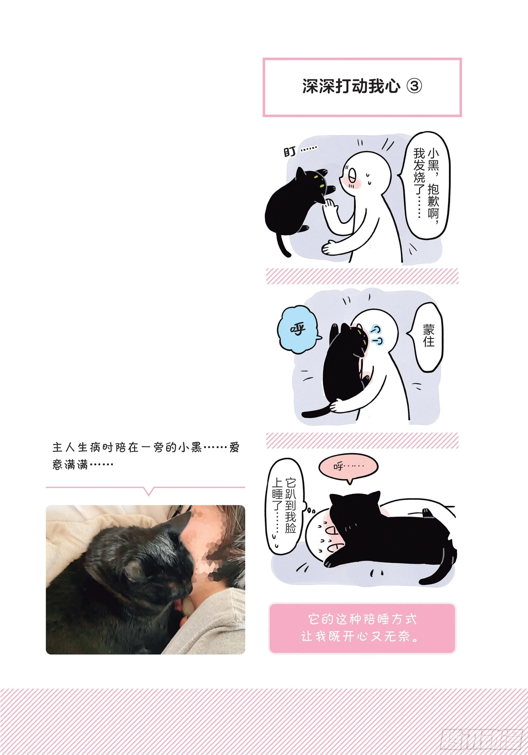 第6章 猫咪的温柔可以治愈人心 第21页