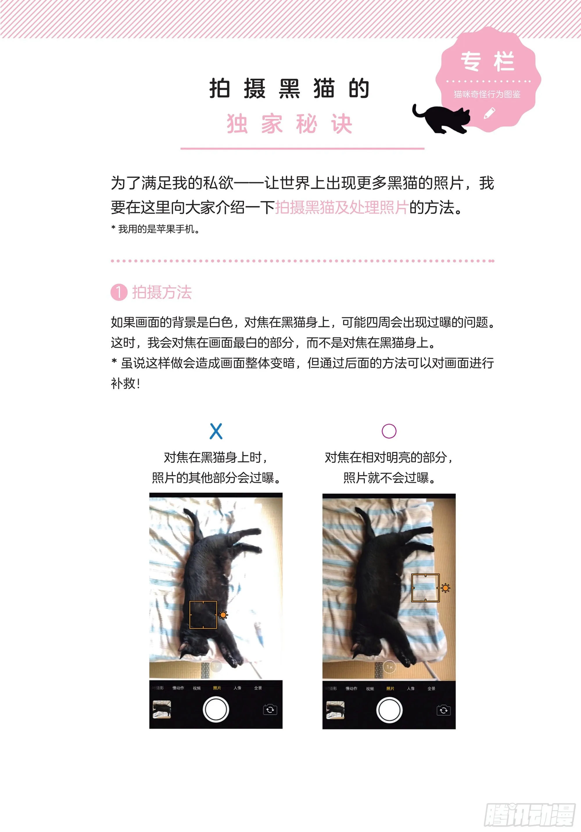 第6章 猫咪的温柔可以治愈人心 第22页