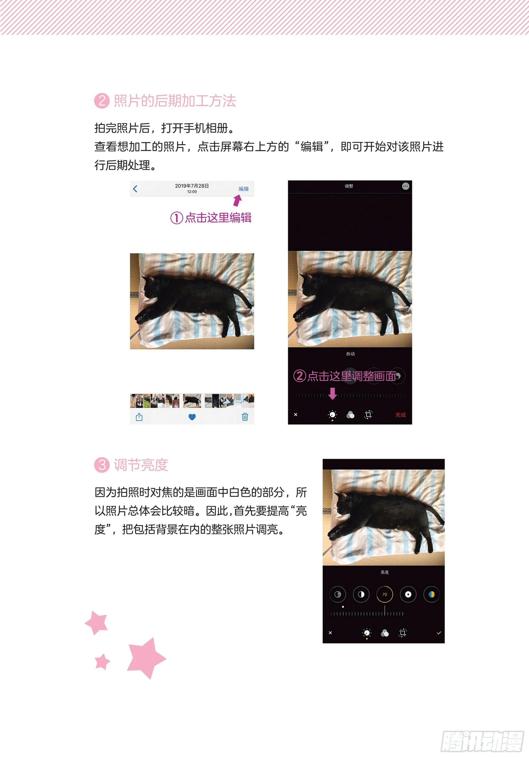 第6章 猫咪的温柔可以治愈人心 第23页