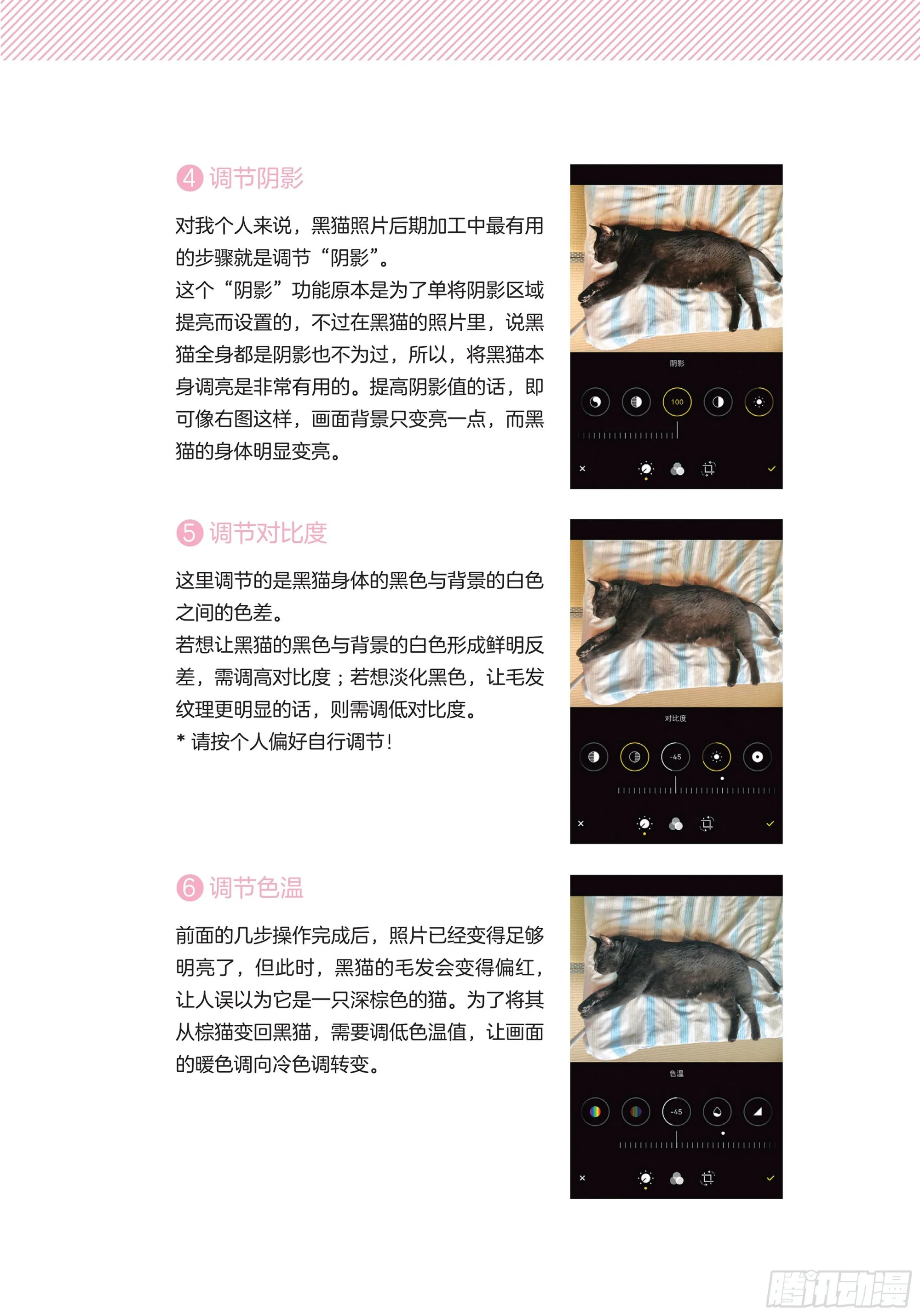 第6章 猫咪的温柔可以治愈人心 第24页