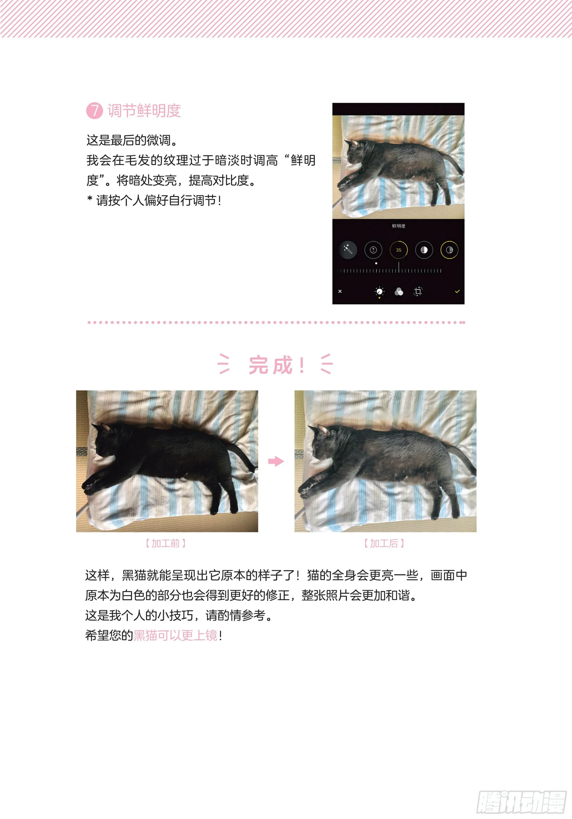 第6章 猫咪的温柔可以治愈人心 第25页