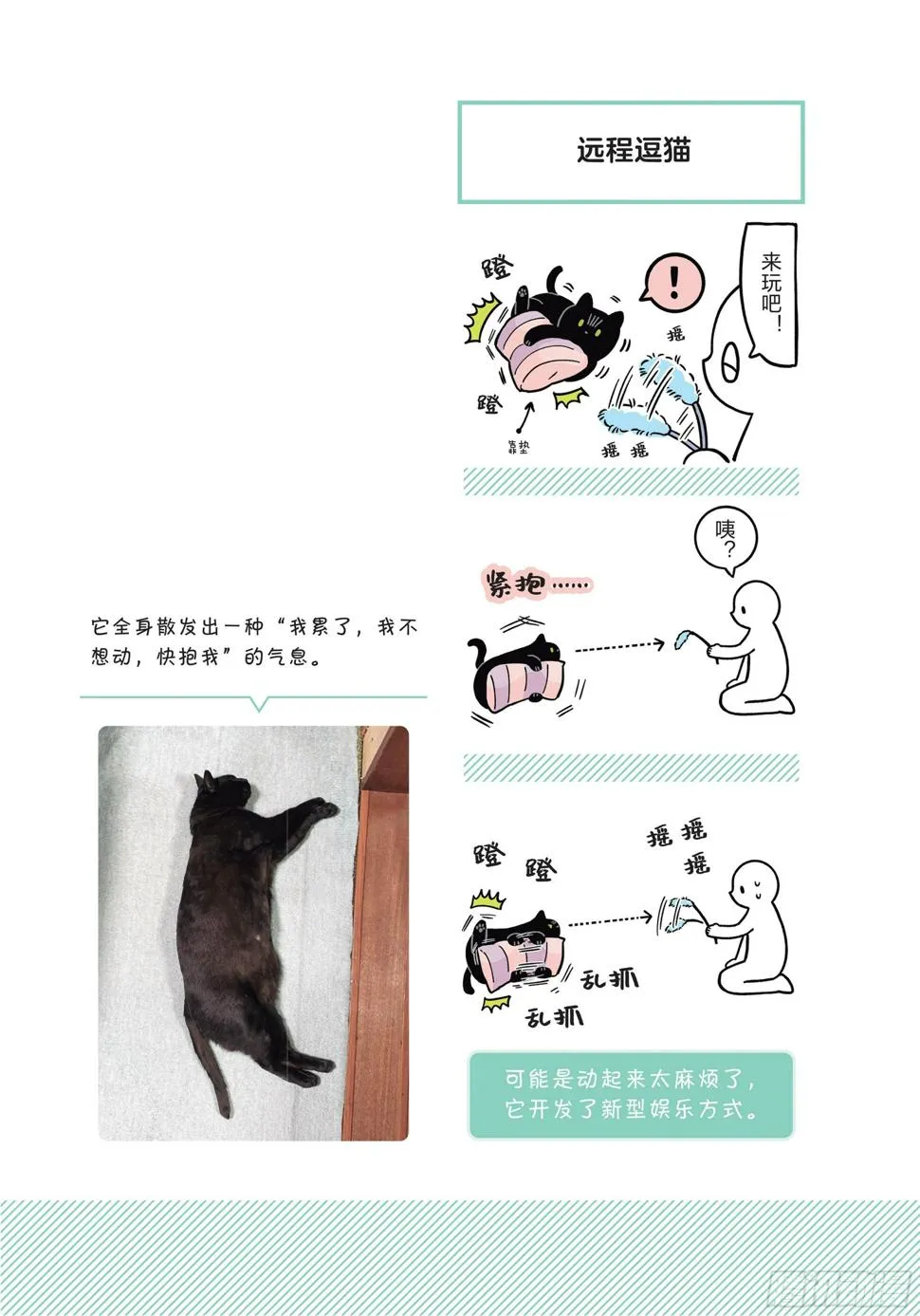 第5章 大懒猫 第8页