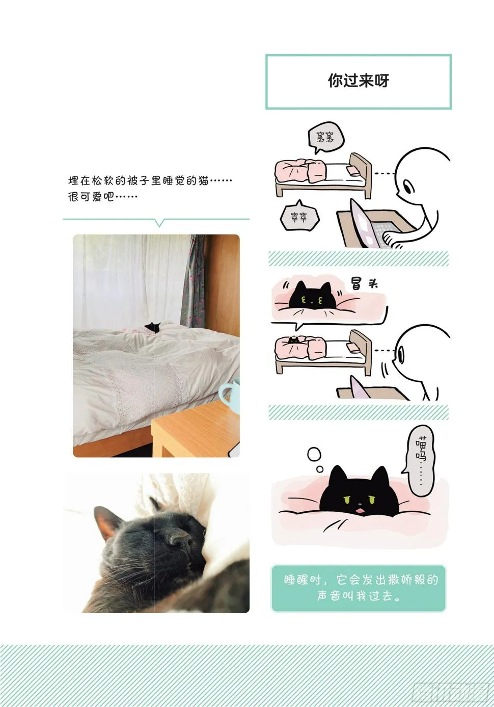 第5章 大懒猫 第9页