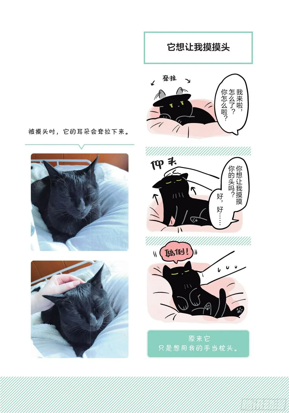 第5章 大懒猫 第10页