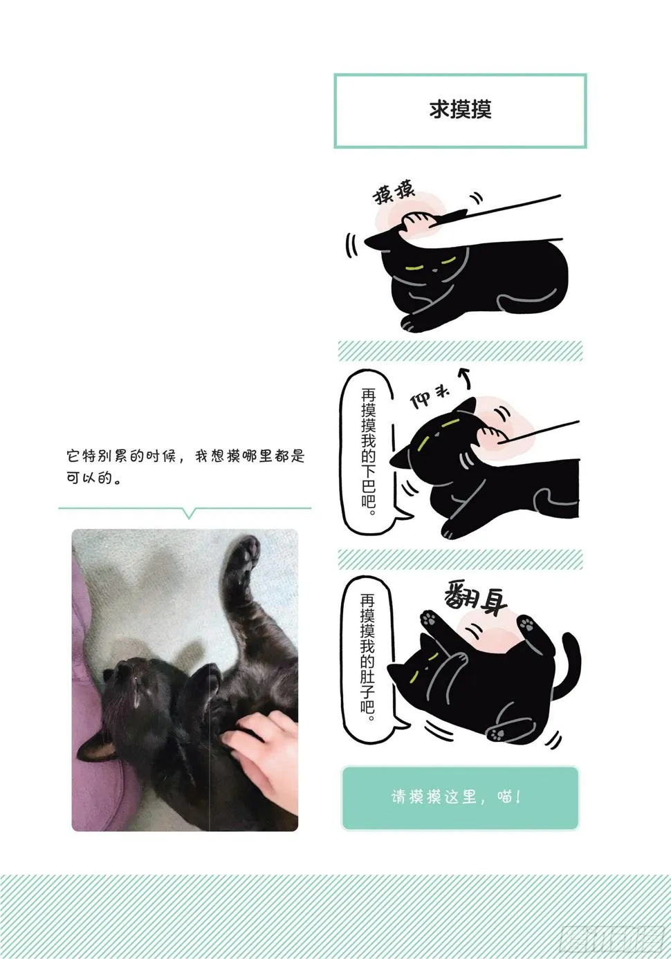 第5章 大懒猫 第14页