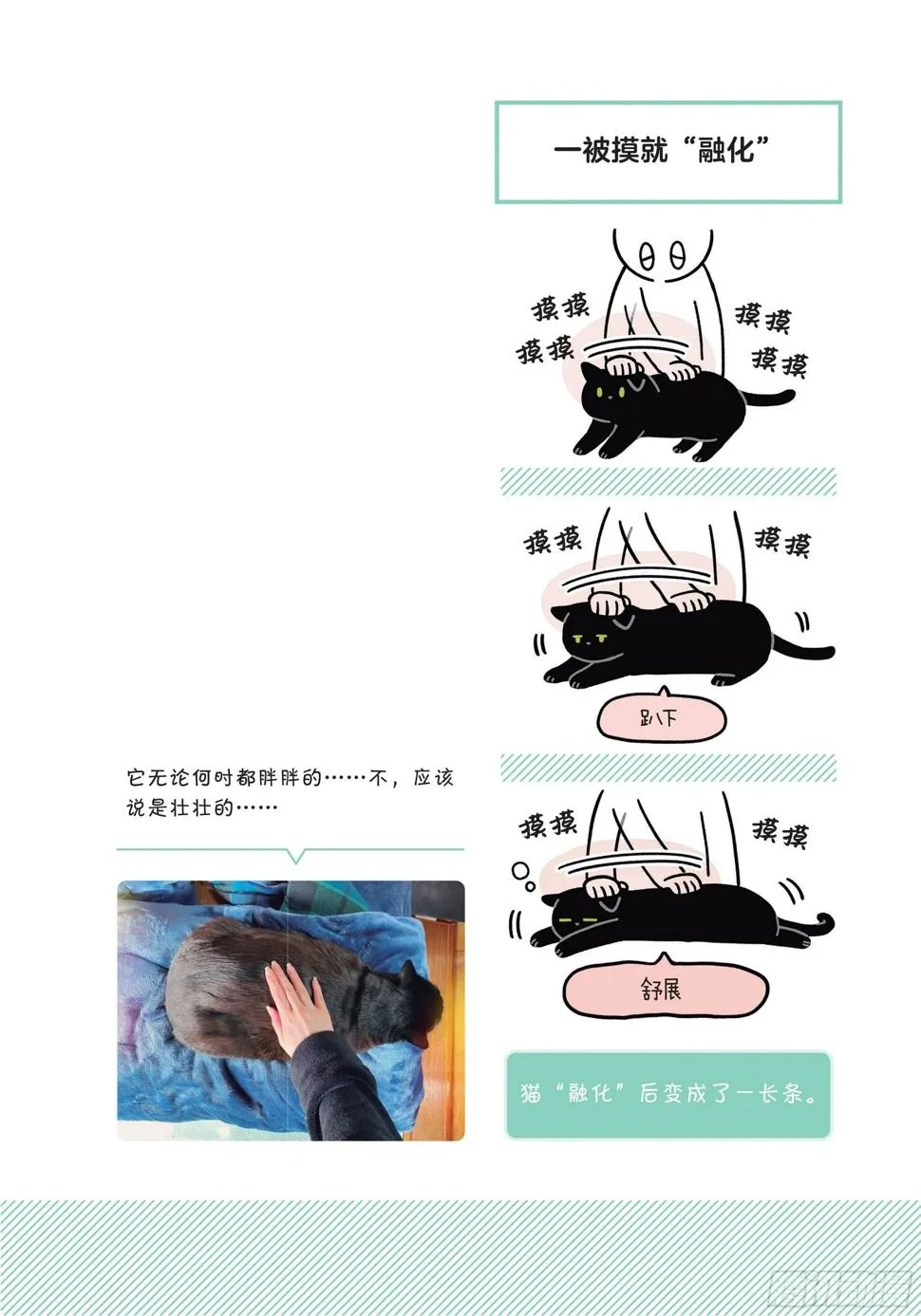 第5章 大懒猫 第15页