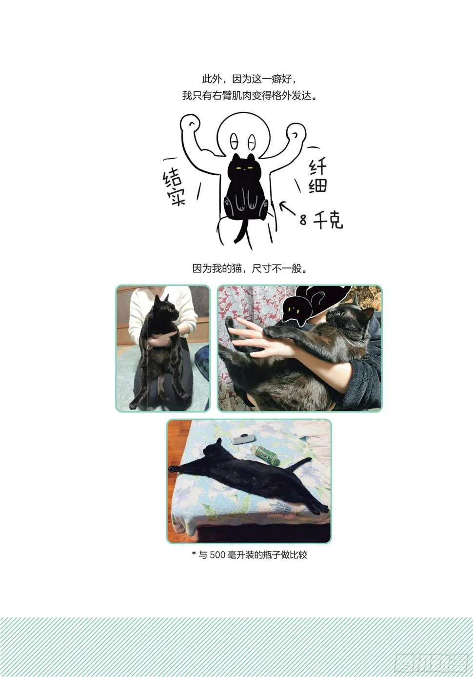第5章 大懒猫 第19页