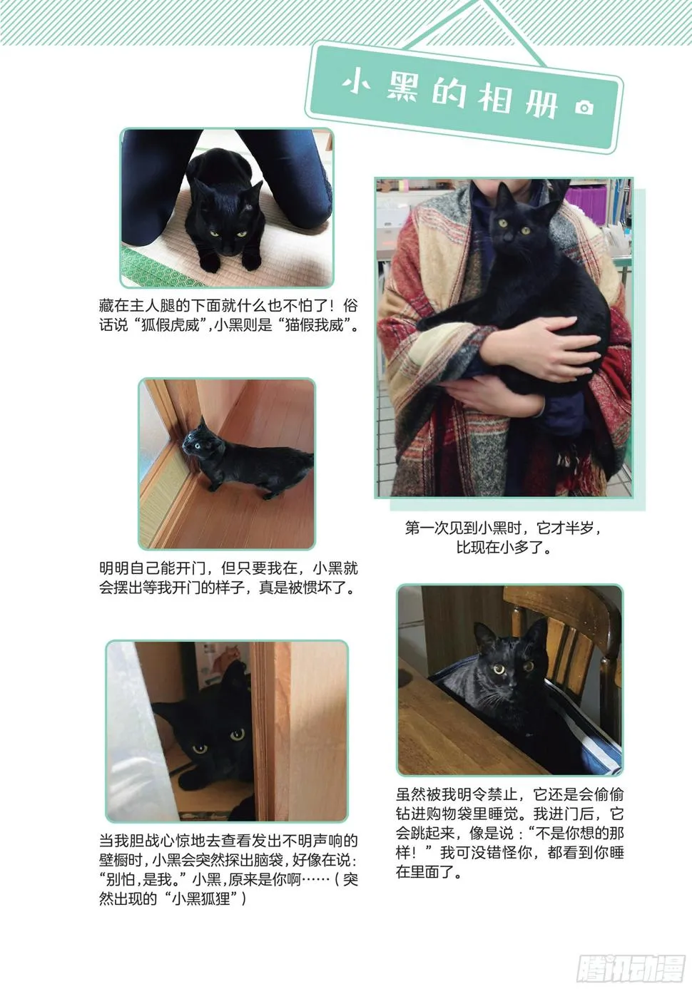 第5章 大懒猫 第23页