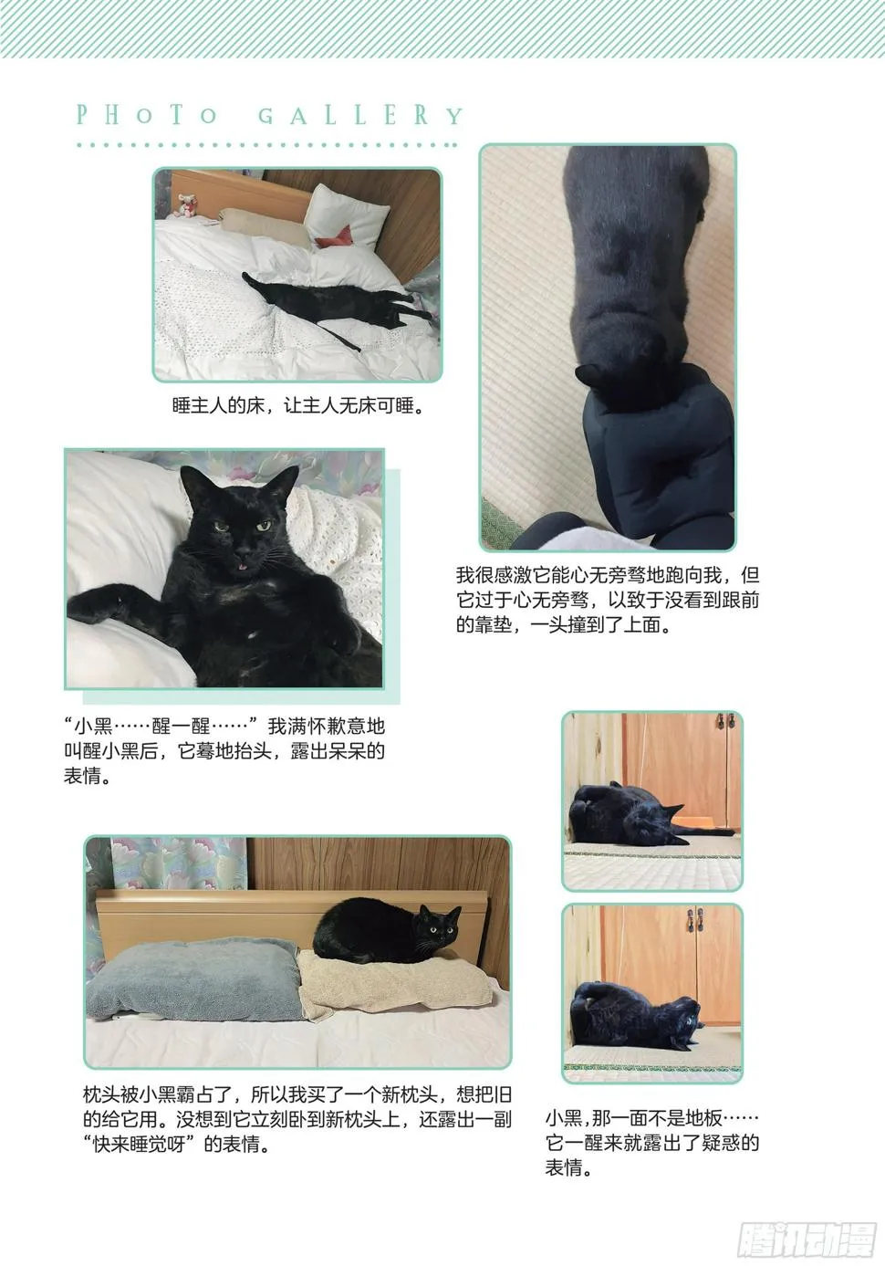 第5章 大懒猫 第24页