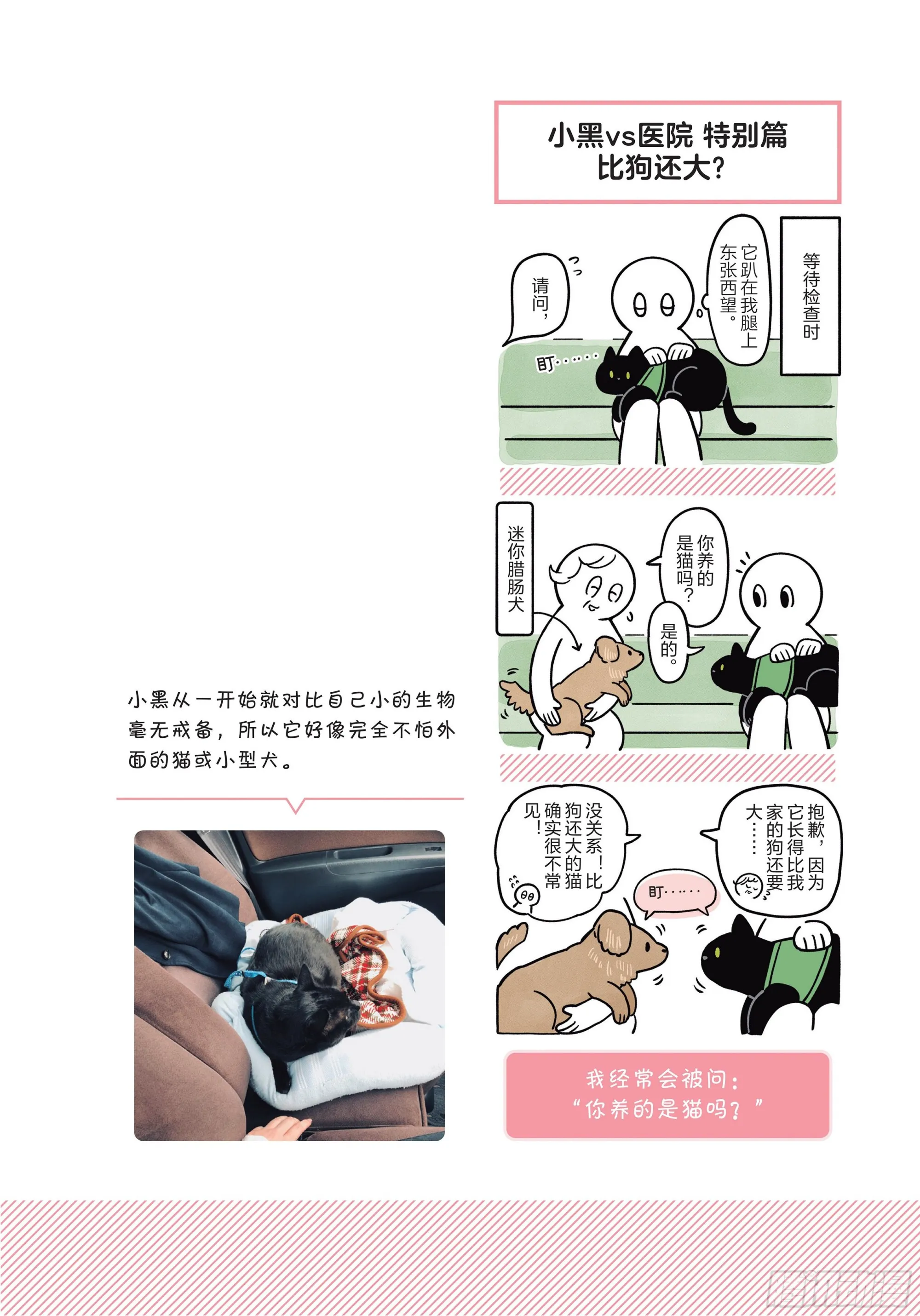 第4章 一起生活5年后 第14页