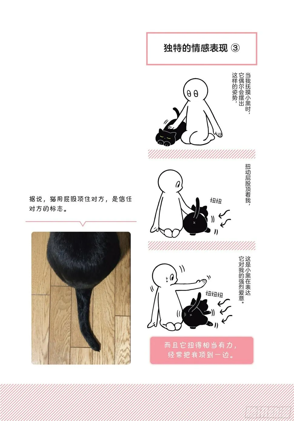 第4章 一起生活5年后 第19页