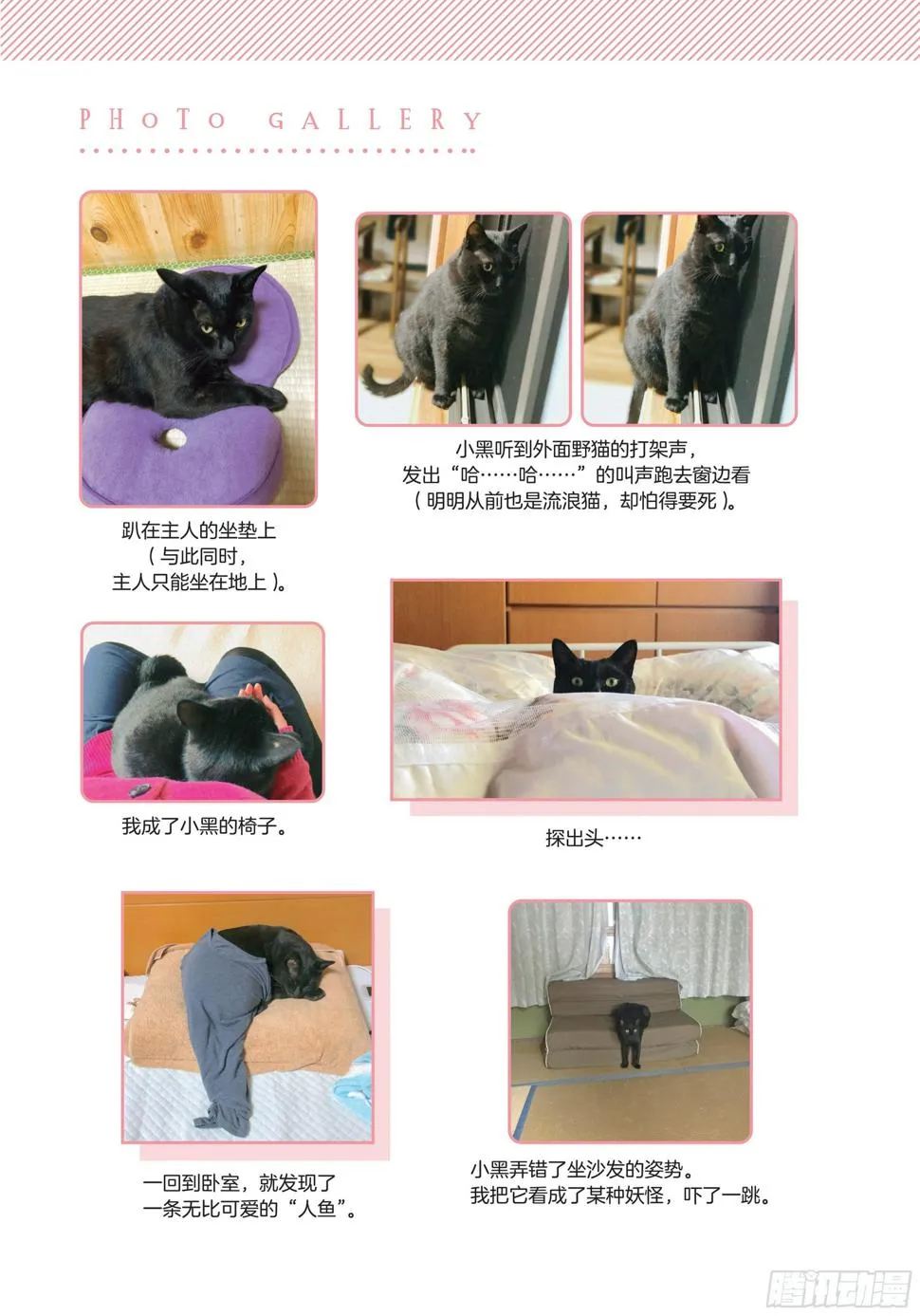 第4章 一起生活5年后 第29页