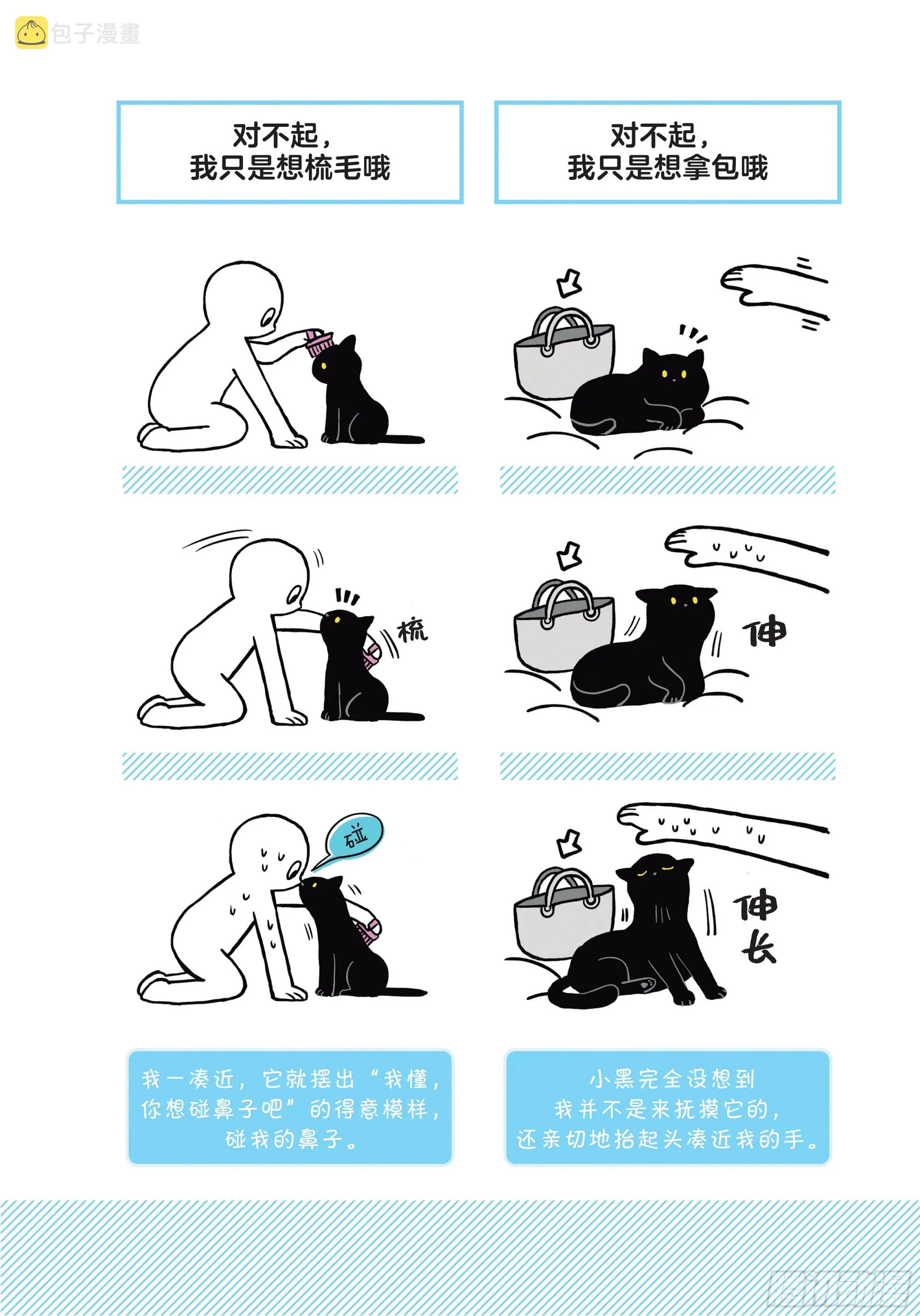 第3章 打动我心的猫咪可爱之处 第2页