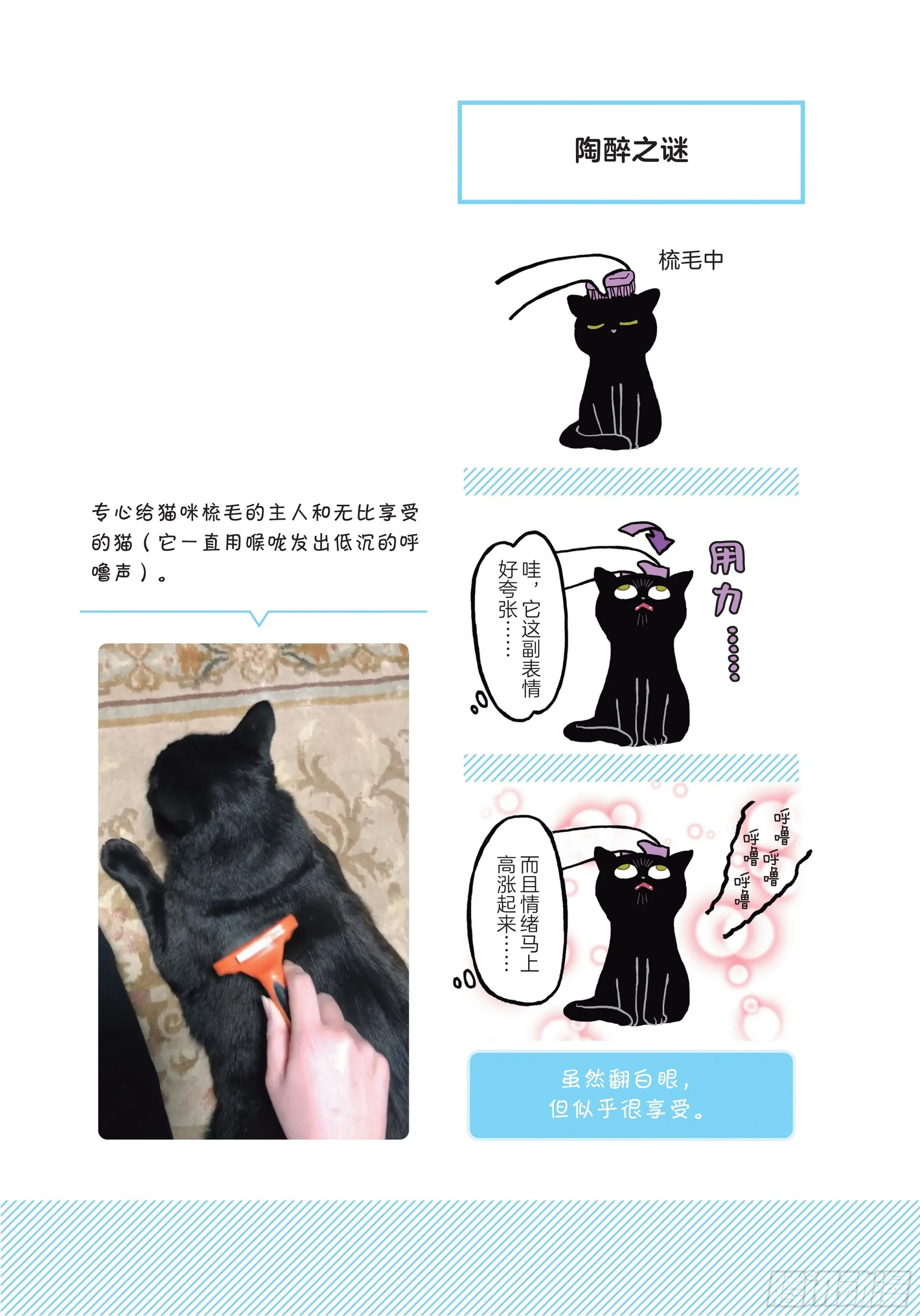 第3章 打动我心的猫咪可爱之处 第3页