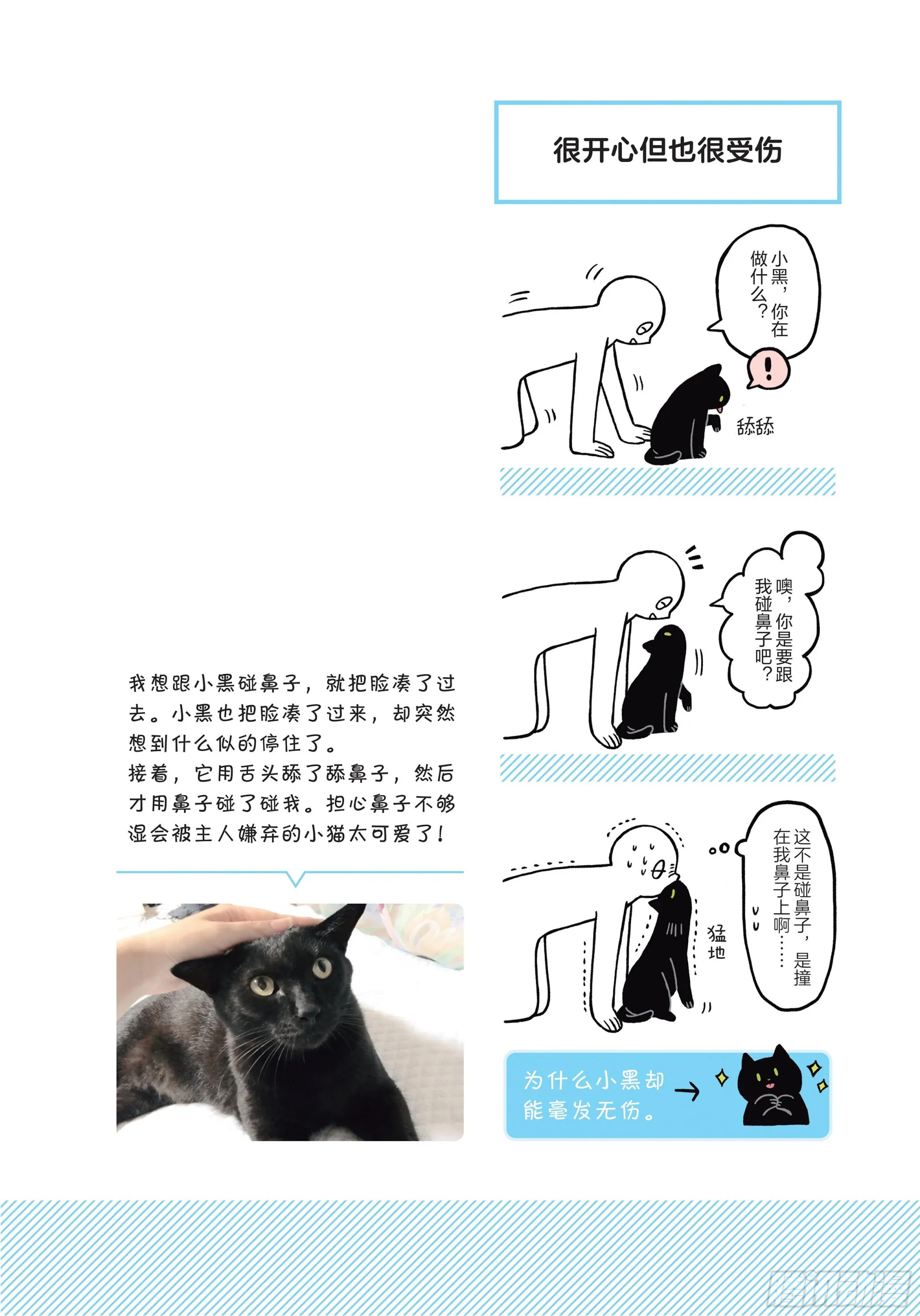 第3章 打动我心的猫咪可爱之处 第4页