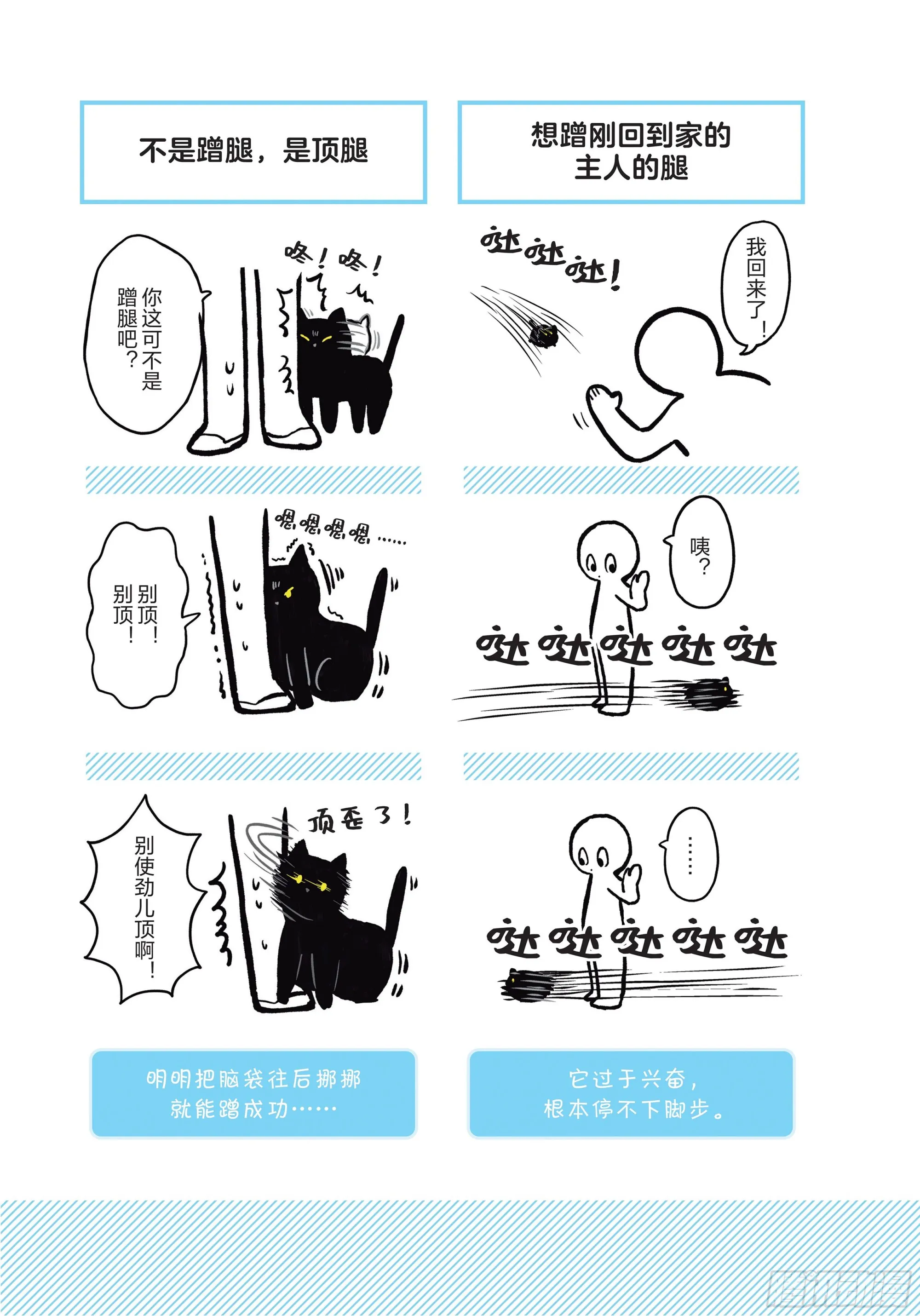 第3章 打动我心的猫咪可爱之处 第5页
