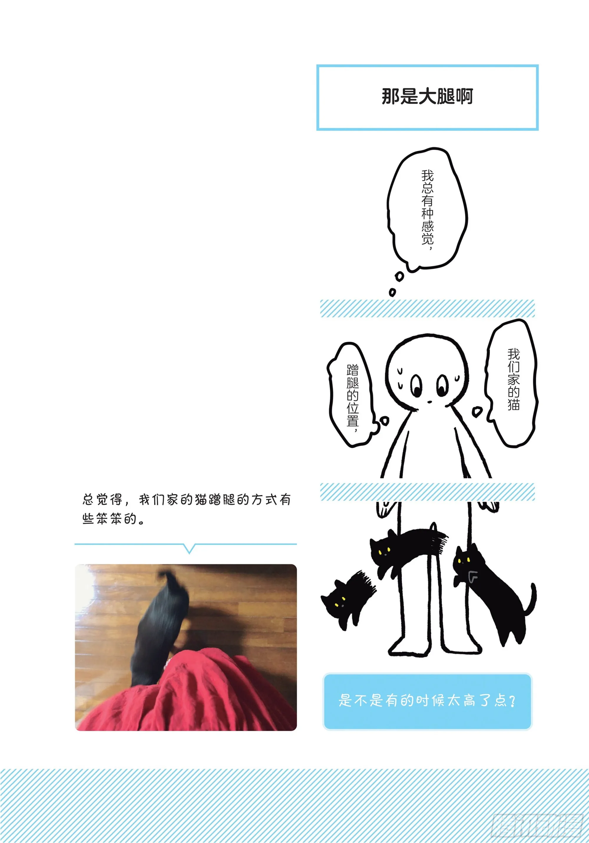 第3章 打动我心的猫咪可爱之处 第6页