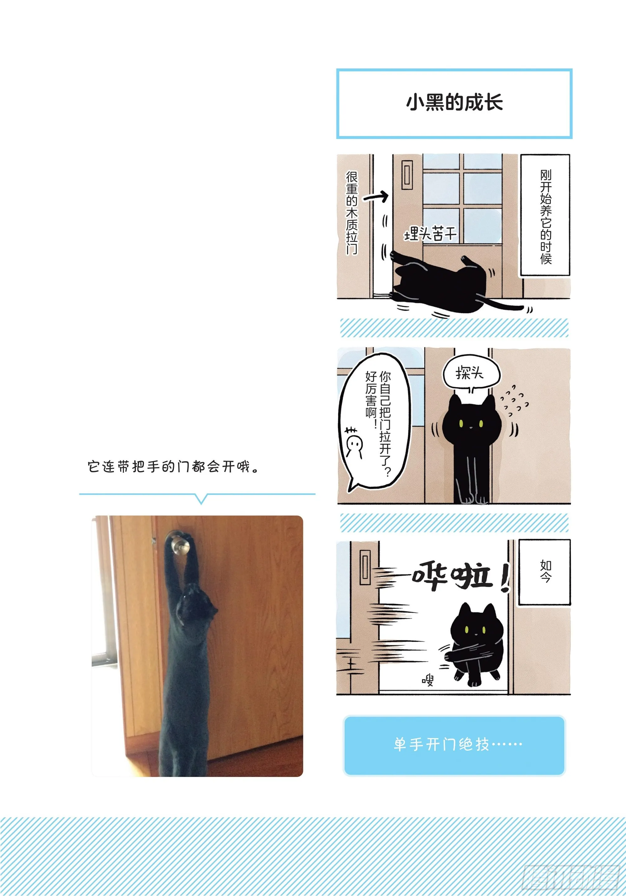 第3章 打动我心的猫咪可爱之处 第8页