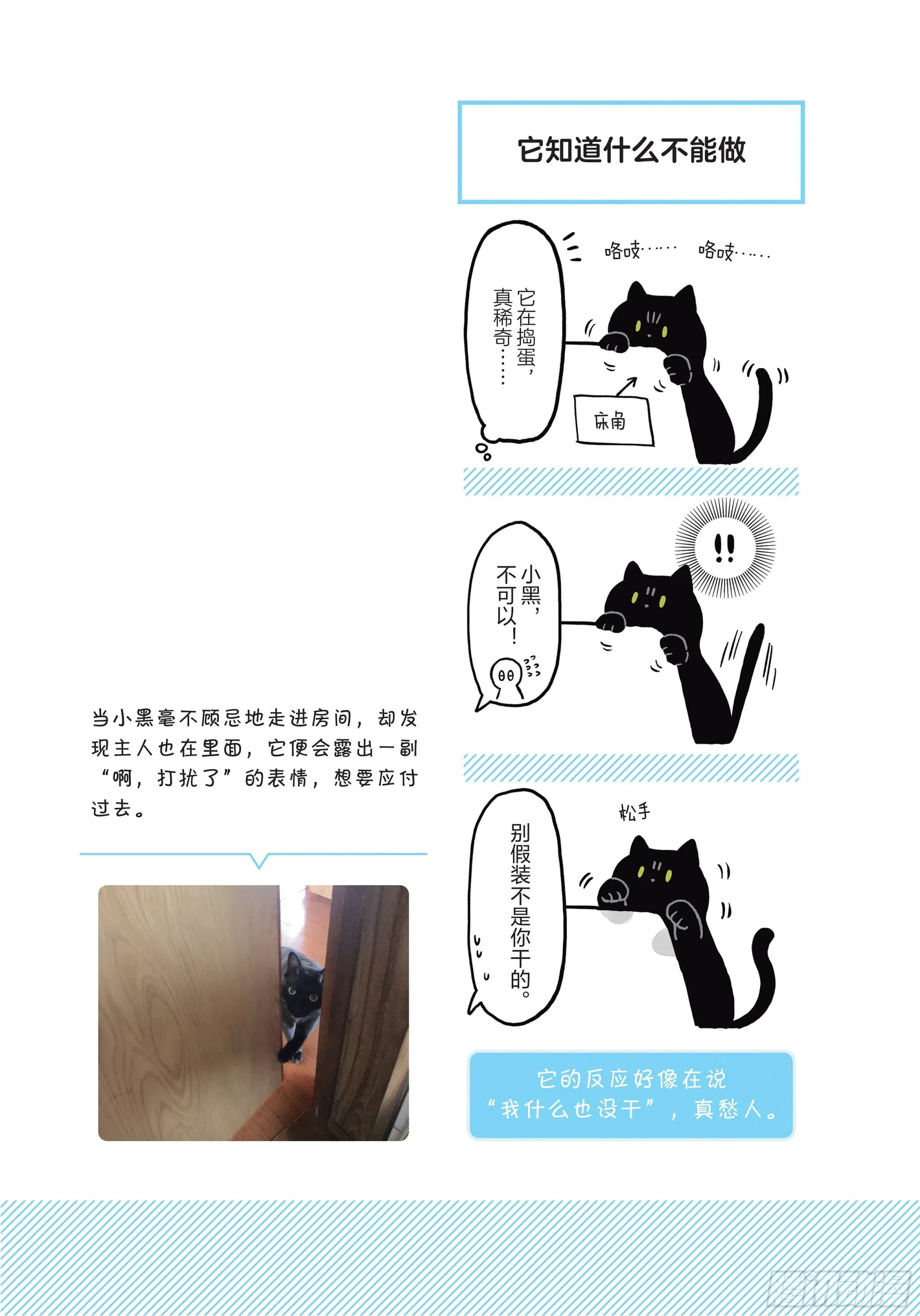 第3章 打动我心的猫咪可爱之处 第9页