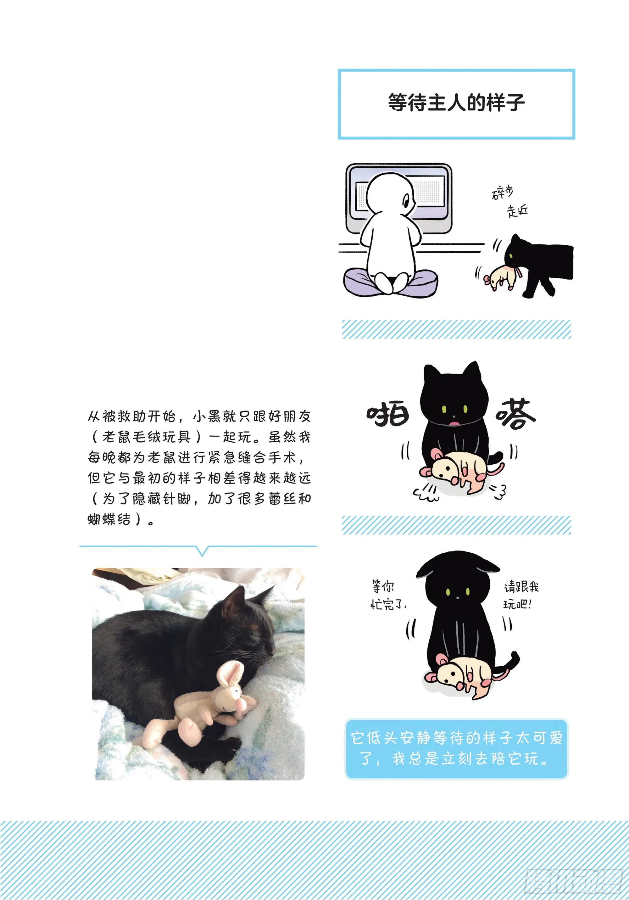 第3章 打动我心的猫咪可爱之处 第10页