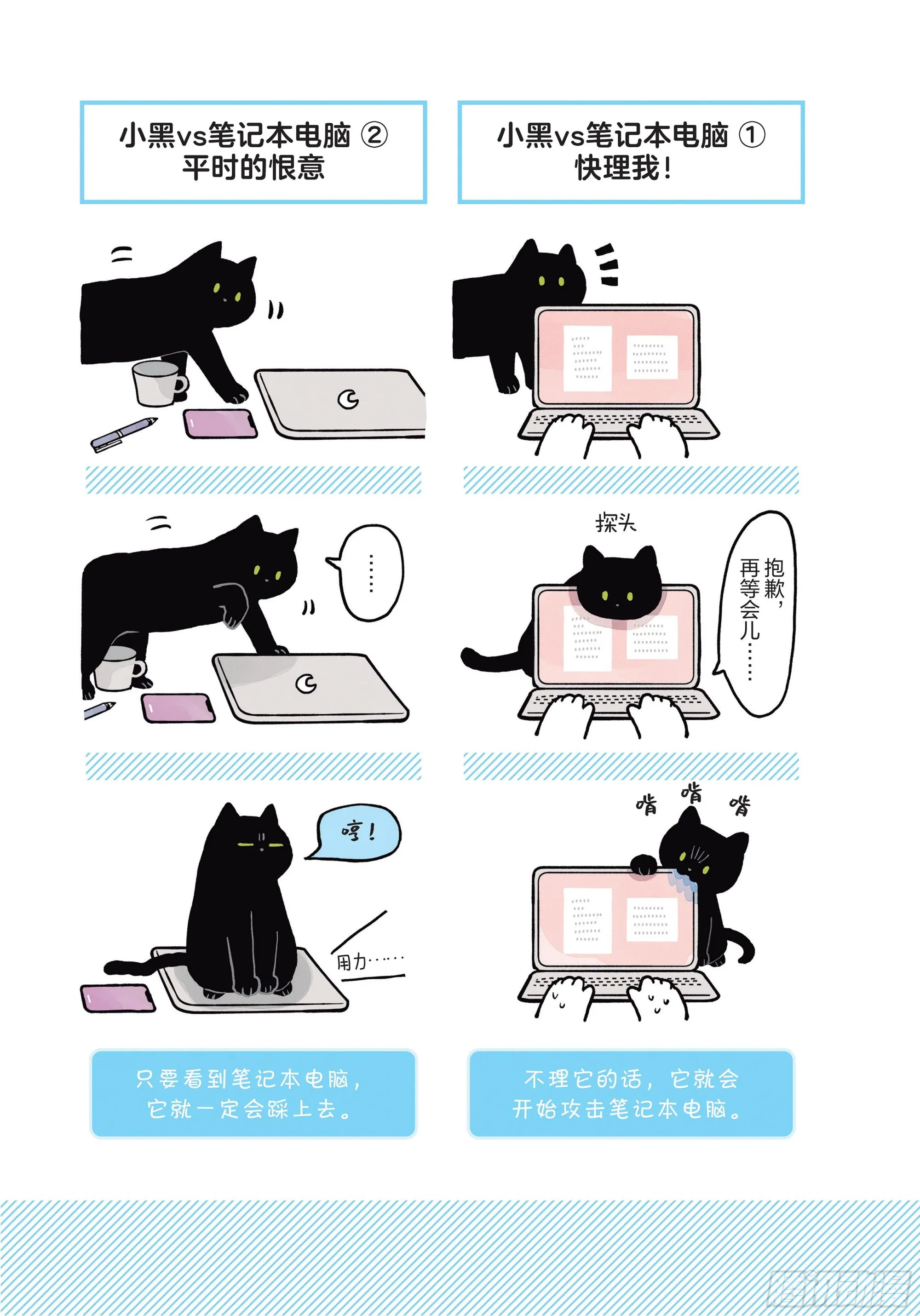 第3章 打动我心的猫咪可爱之处 第11页