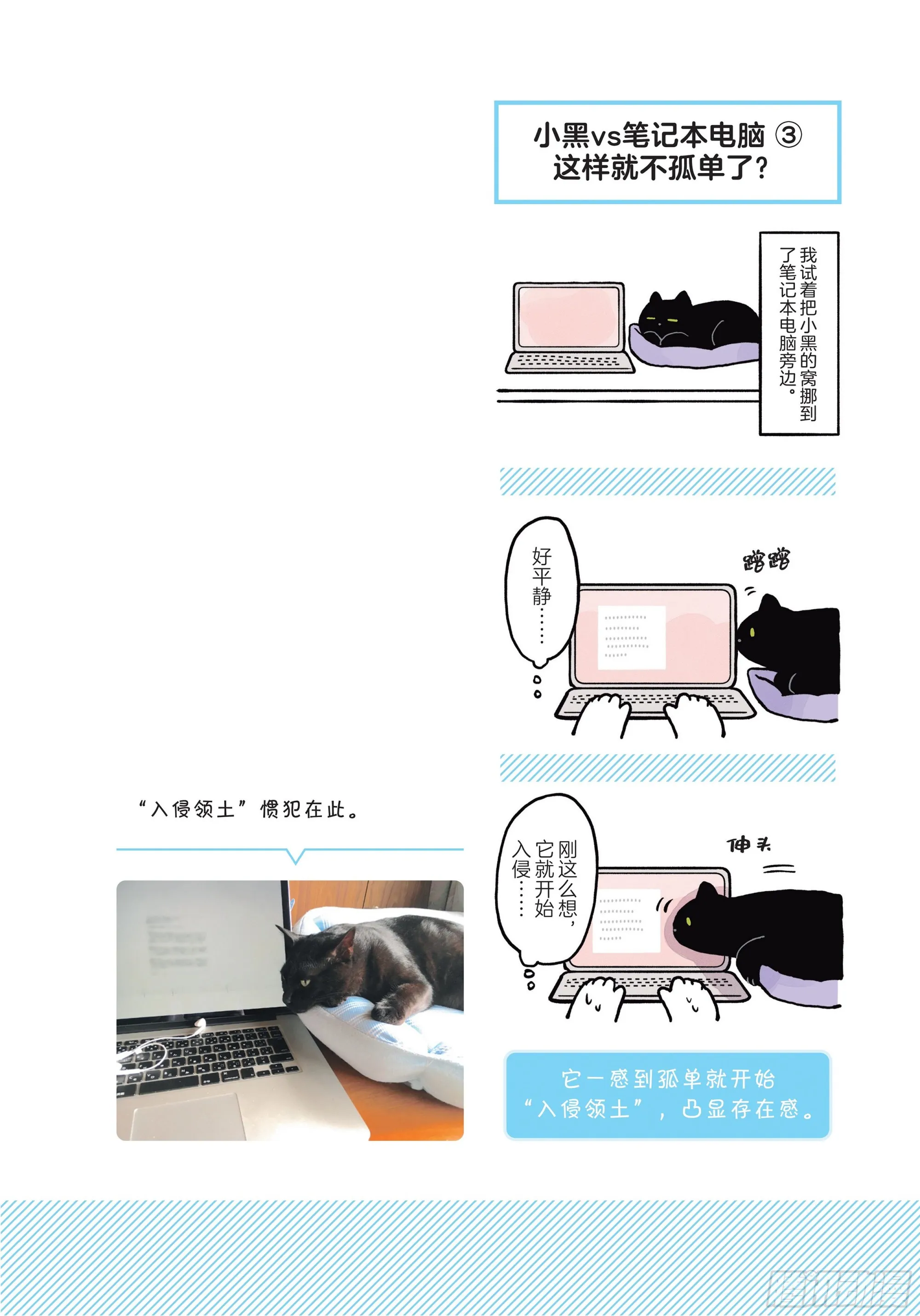 第3章 打动我心的猫咪可爱之处 第12页