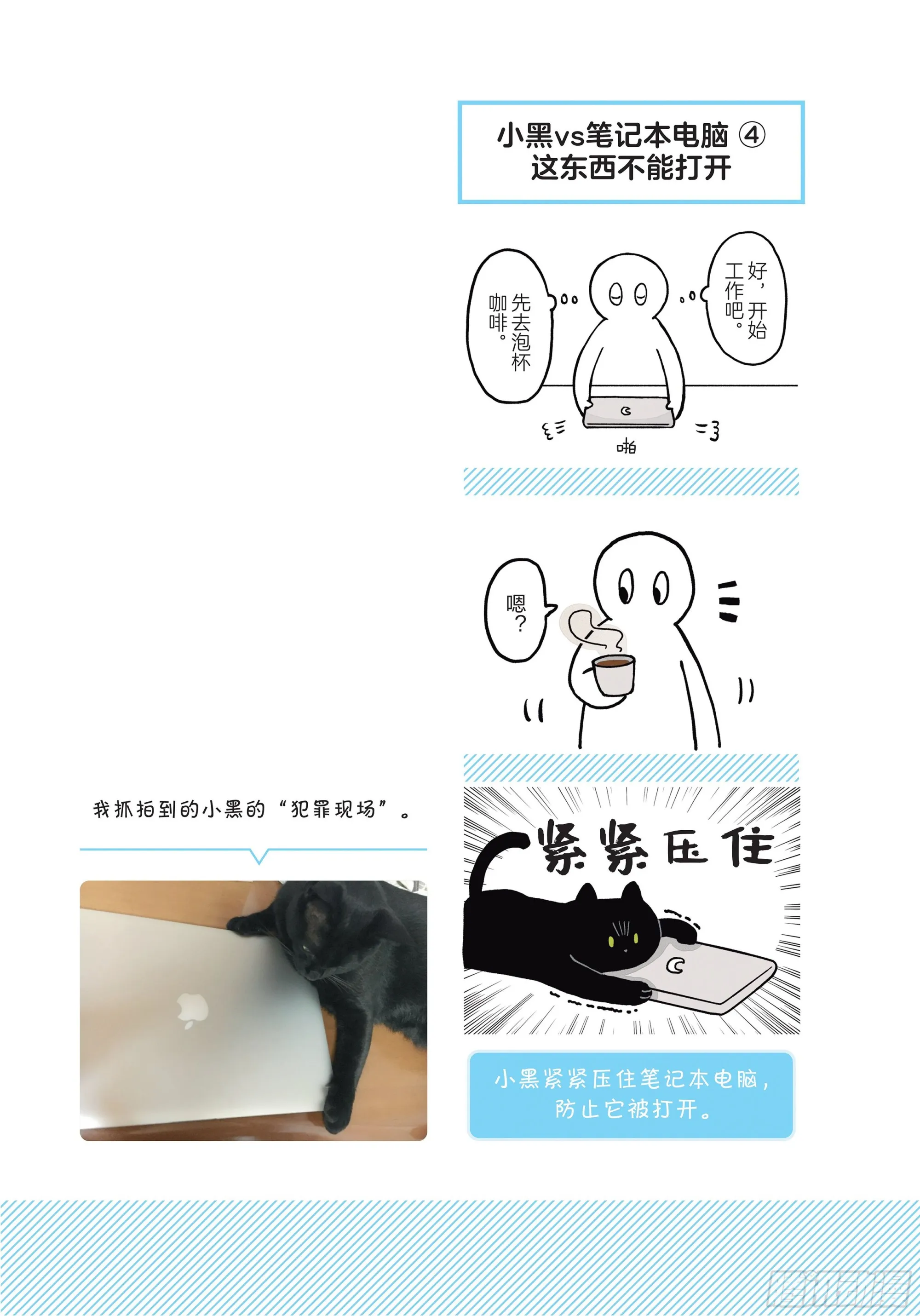 第3章 打动我心的猫咪可爱之处 第13页