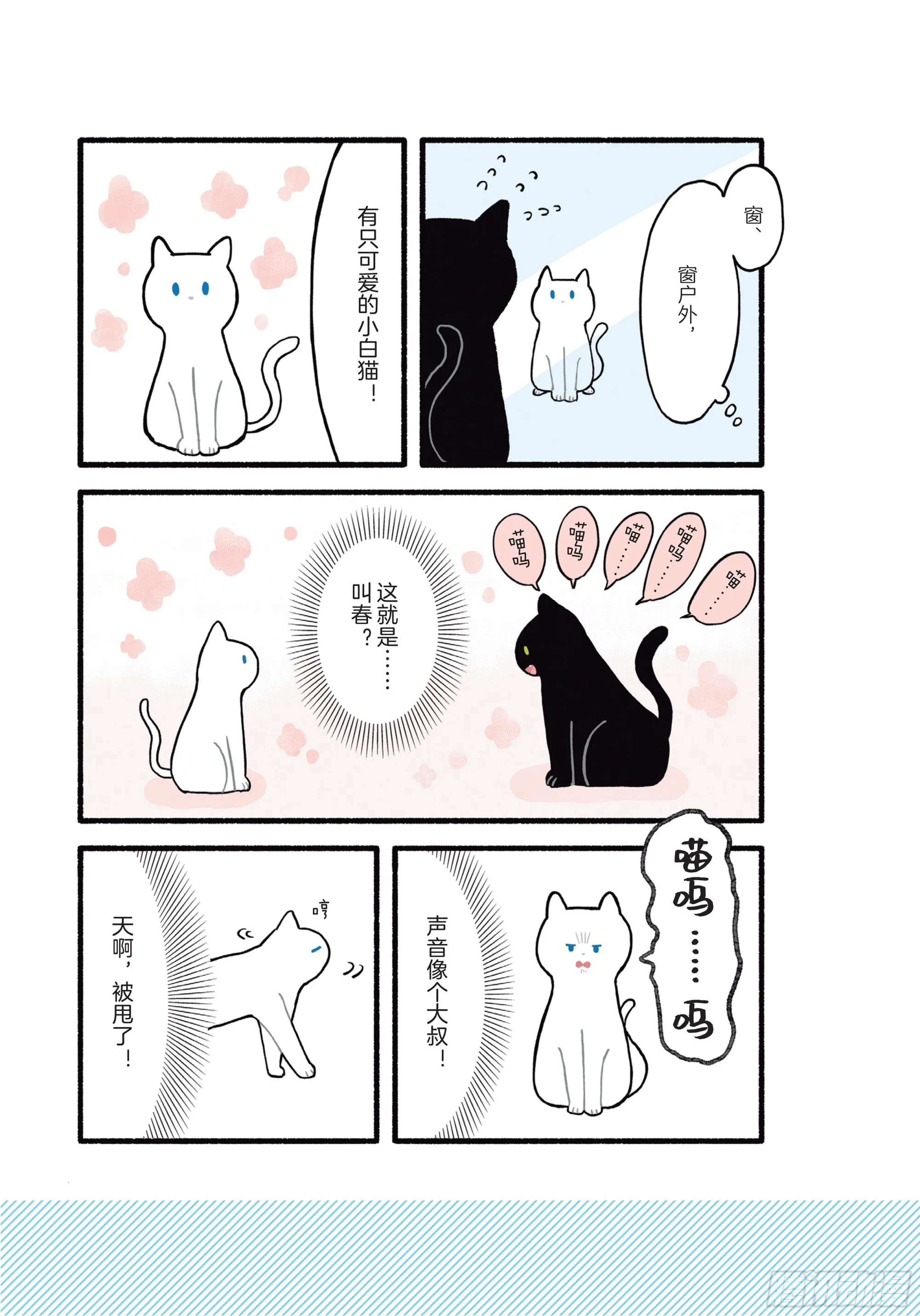 第3章 打动我心的猫咪可爱之处 第15页