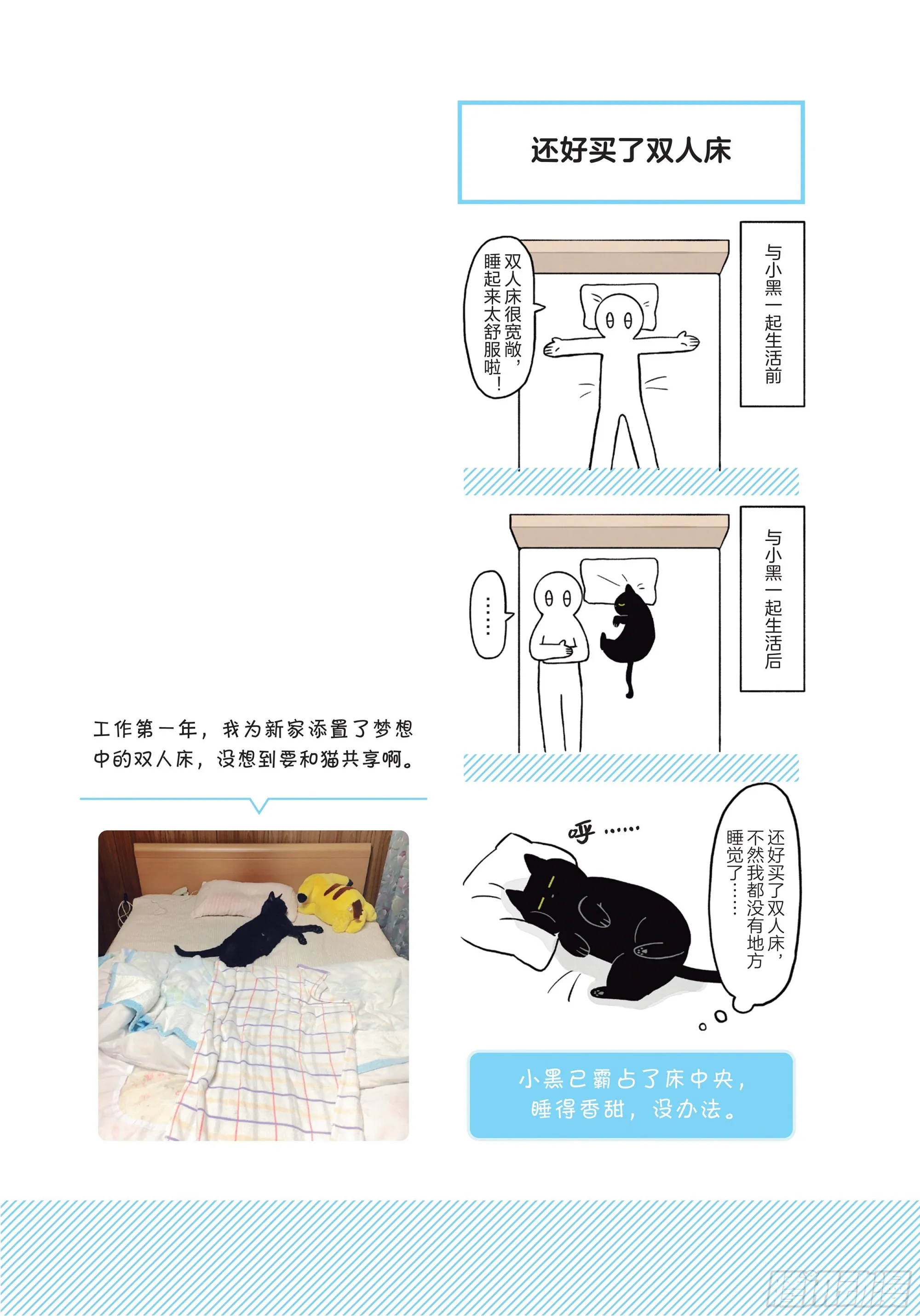 第3章 打动我心的猫咪可爱之处 第19页