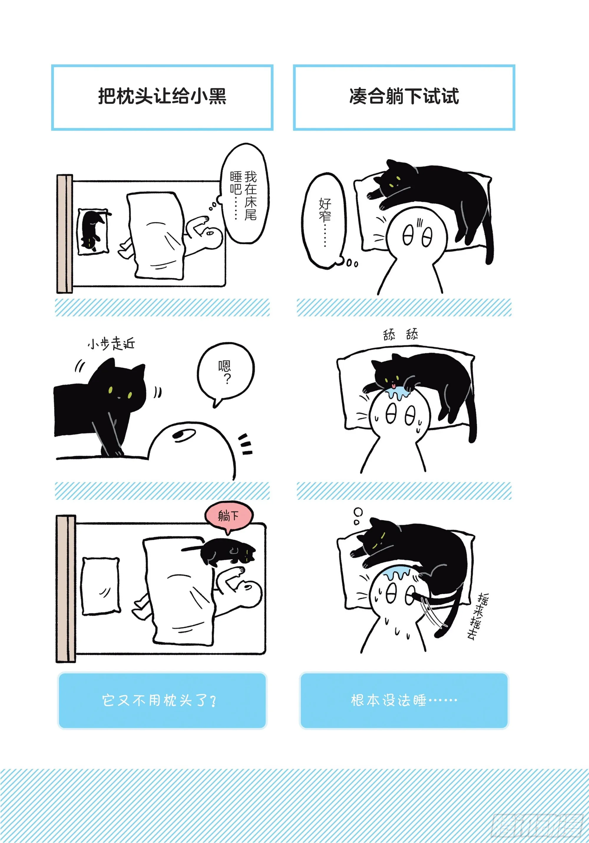第3章 打动我心的猫咪可爱之处 第21页