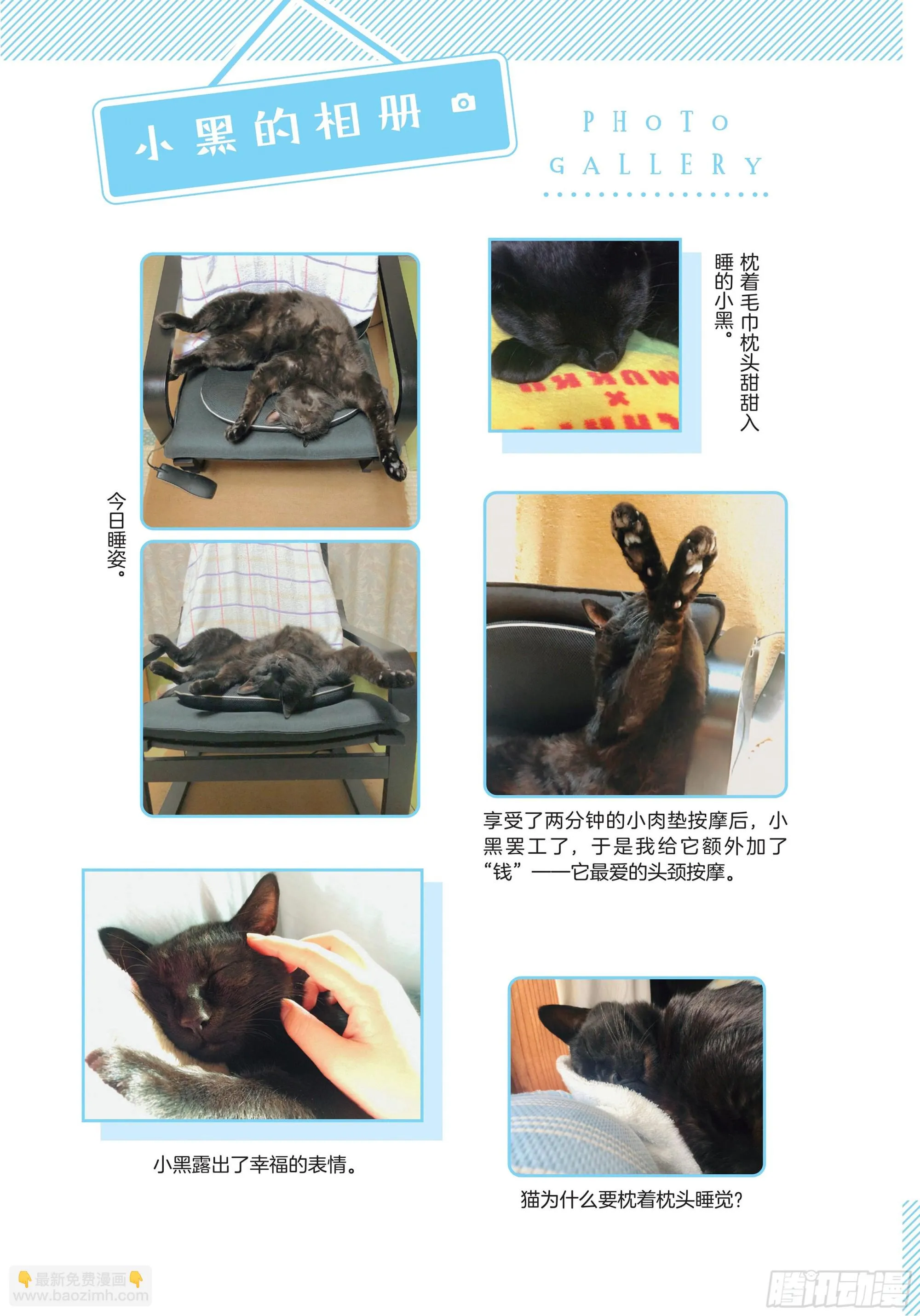 第3章 打动我心的猫咪可爱之处 第25页