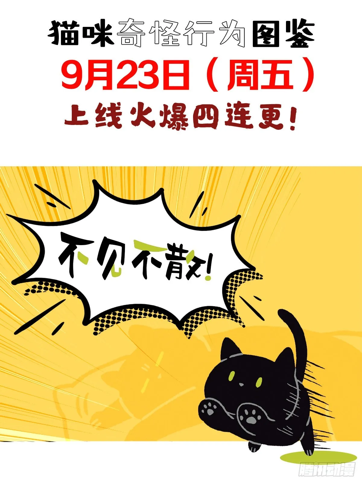 第3章 打动我心的猫咪可爱之处 第27页
