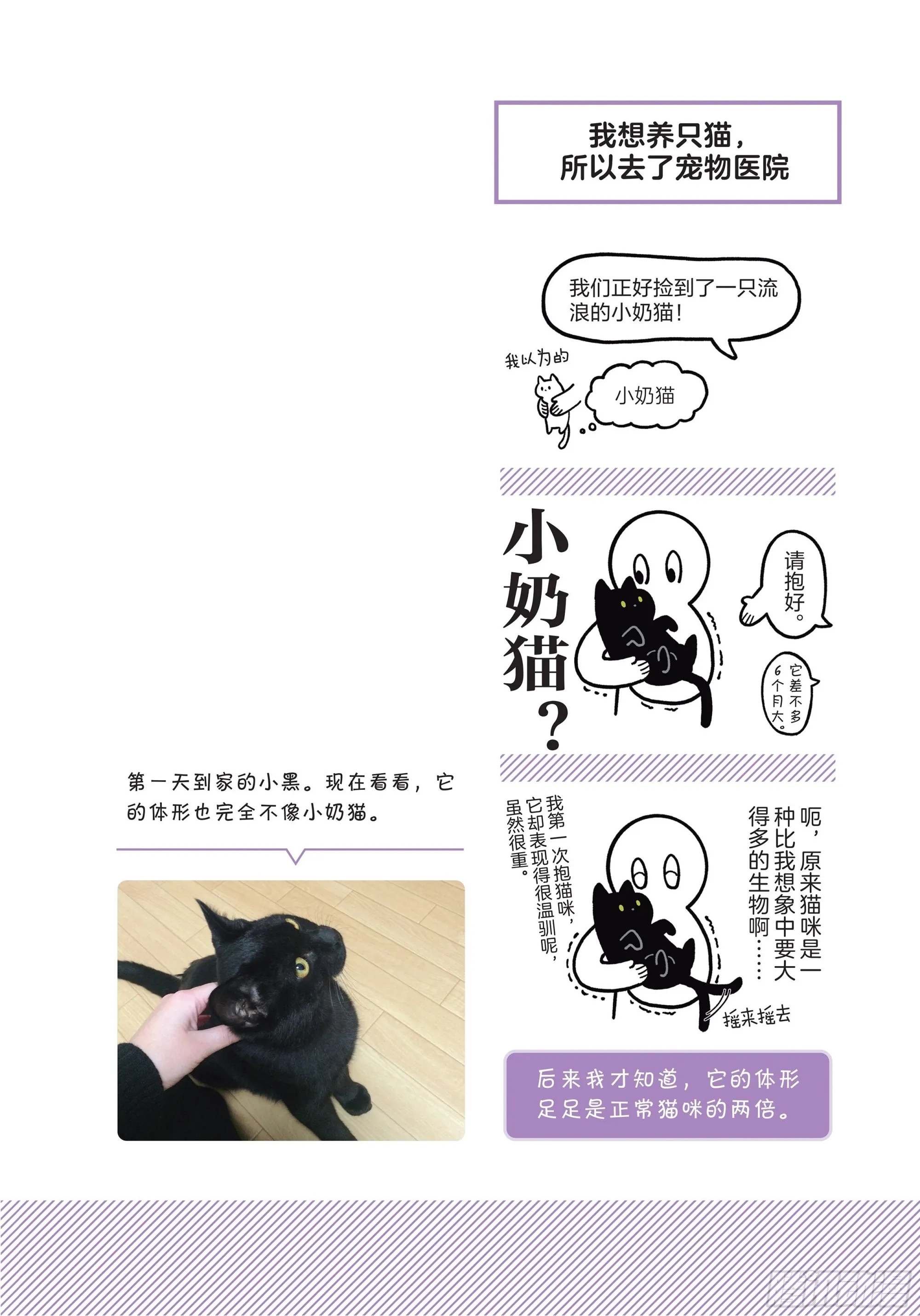 第1章 第一次与猫一起生活 第3页