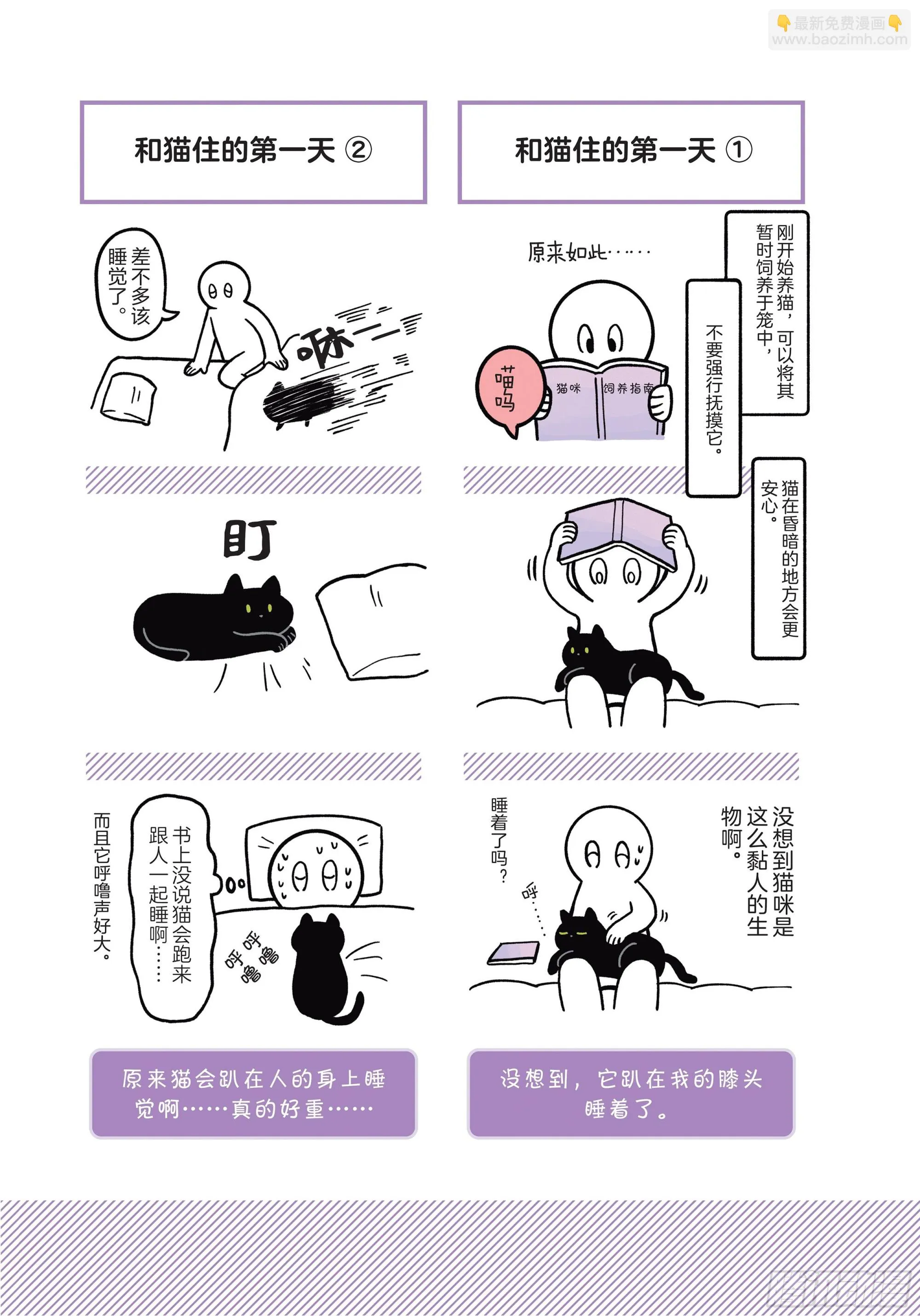 第1章 第一次与猫一起生活 第4页