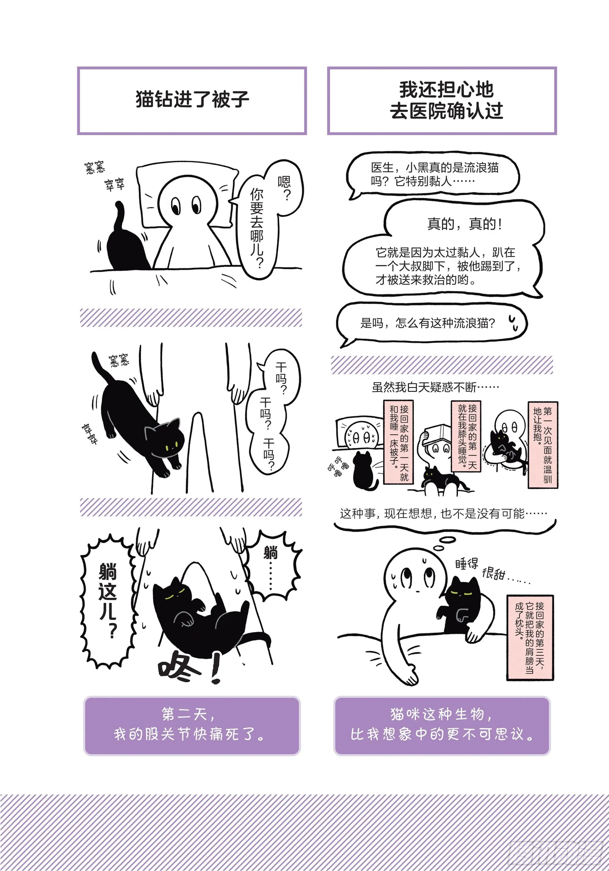 第1章 第一次与猫一起生活 第5页