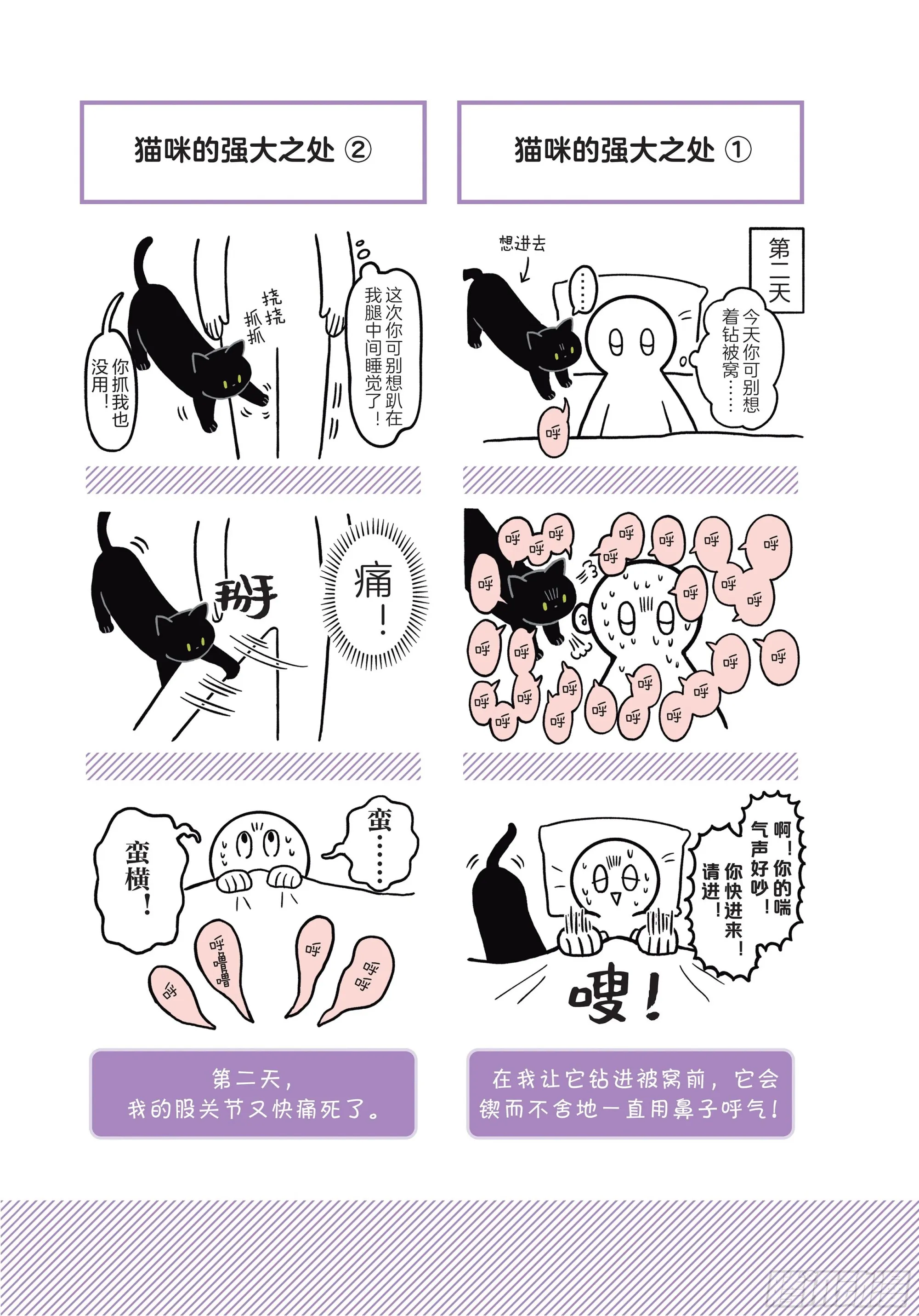 第1章 第一次与猫一起生活 第6页