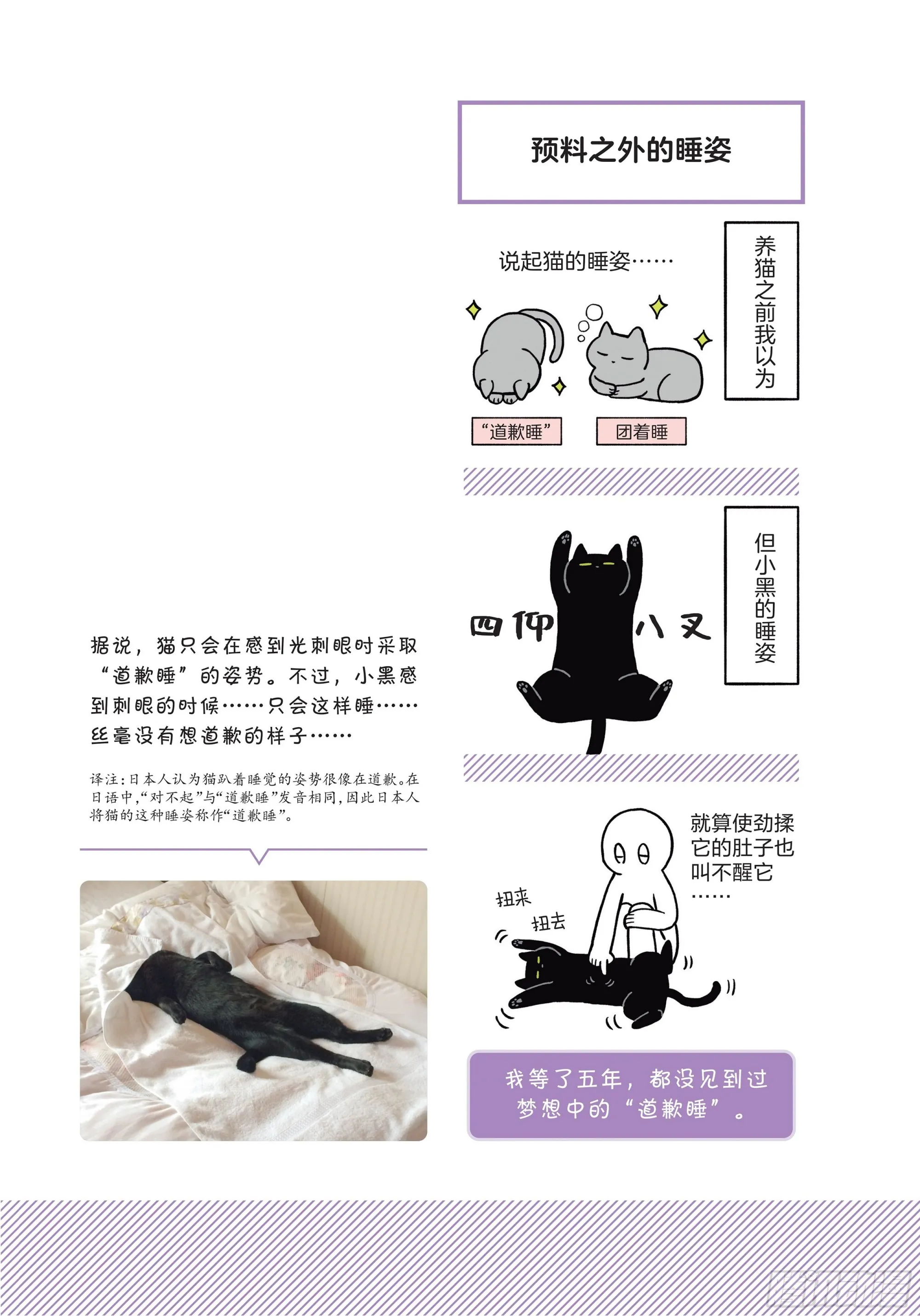 第1章 第一次与猫一起生活 第12页