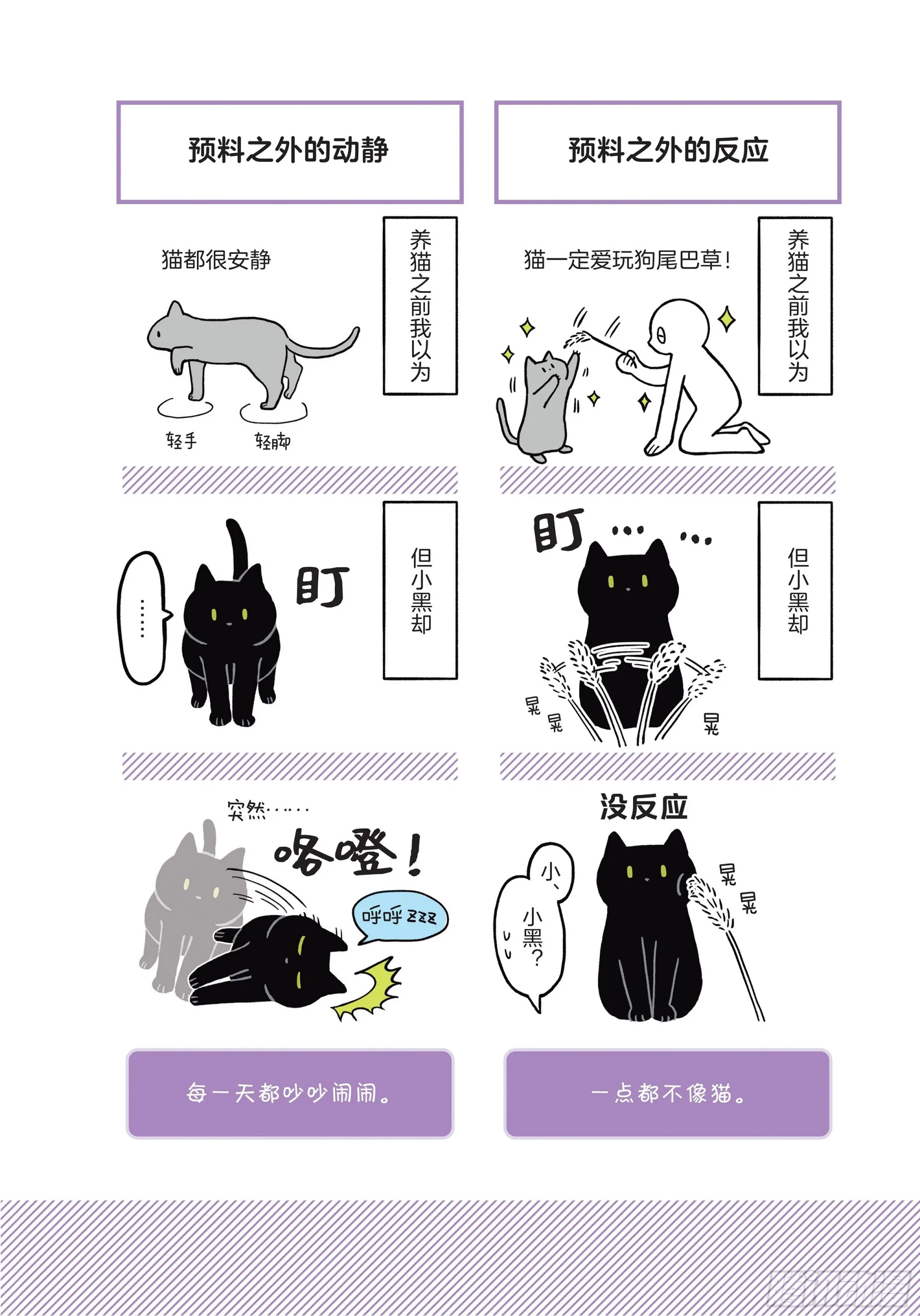 第1章 第一次与猫一起生活 第13页