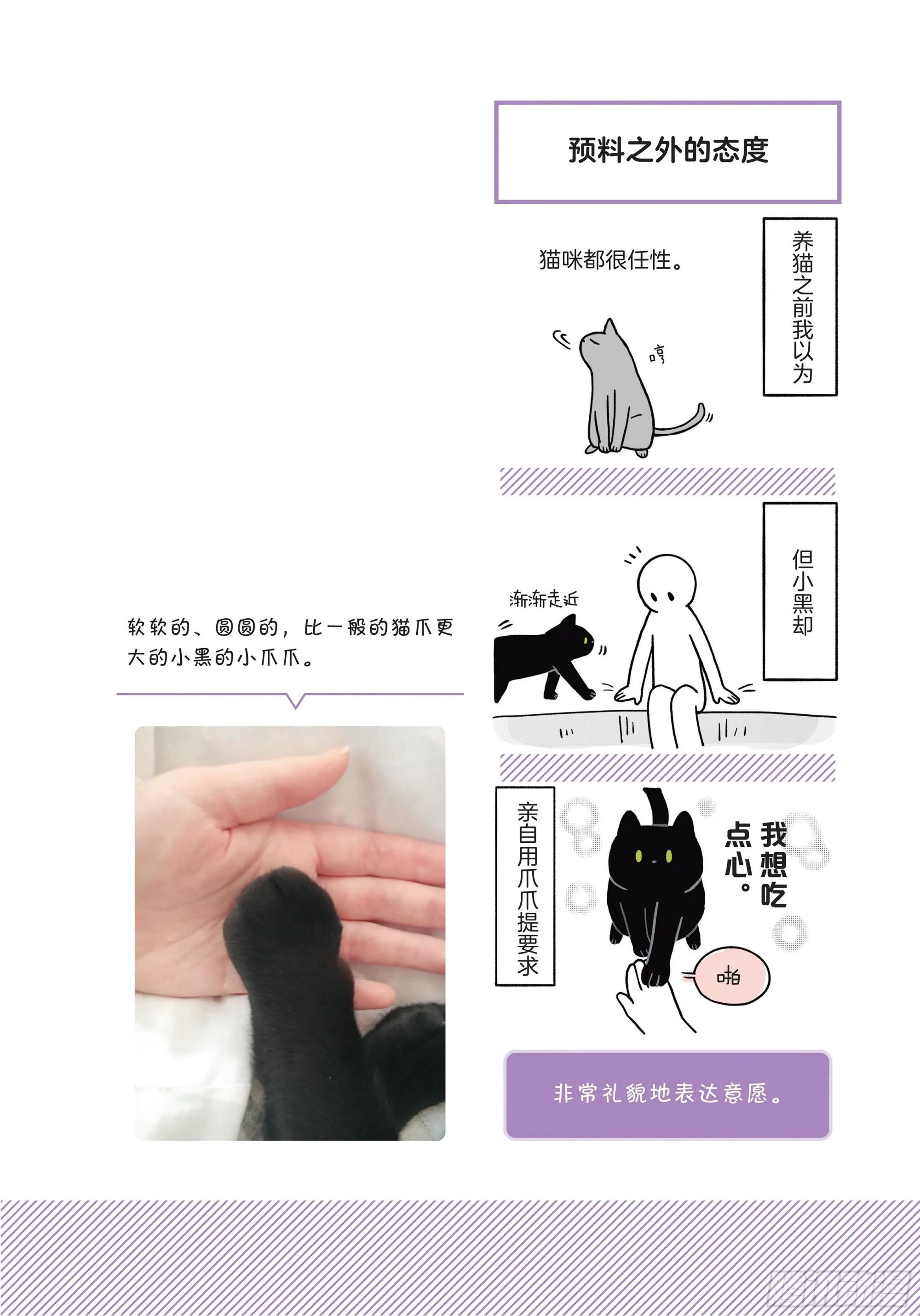 第1章 第一次与猫一起生活 第15页