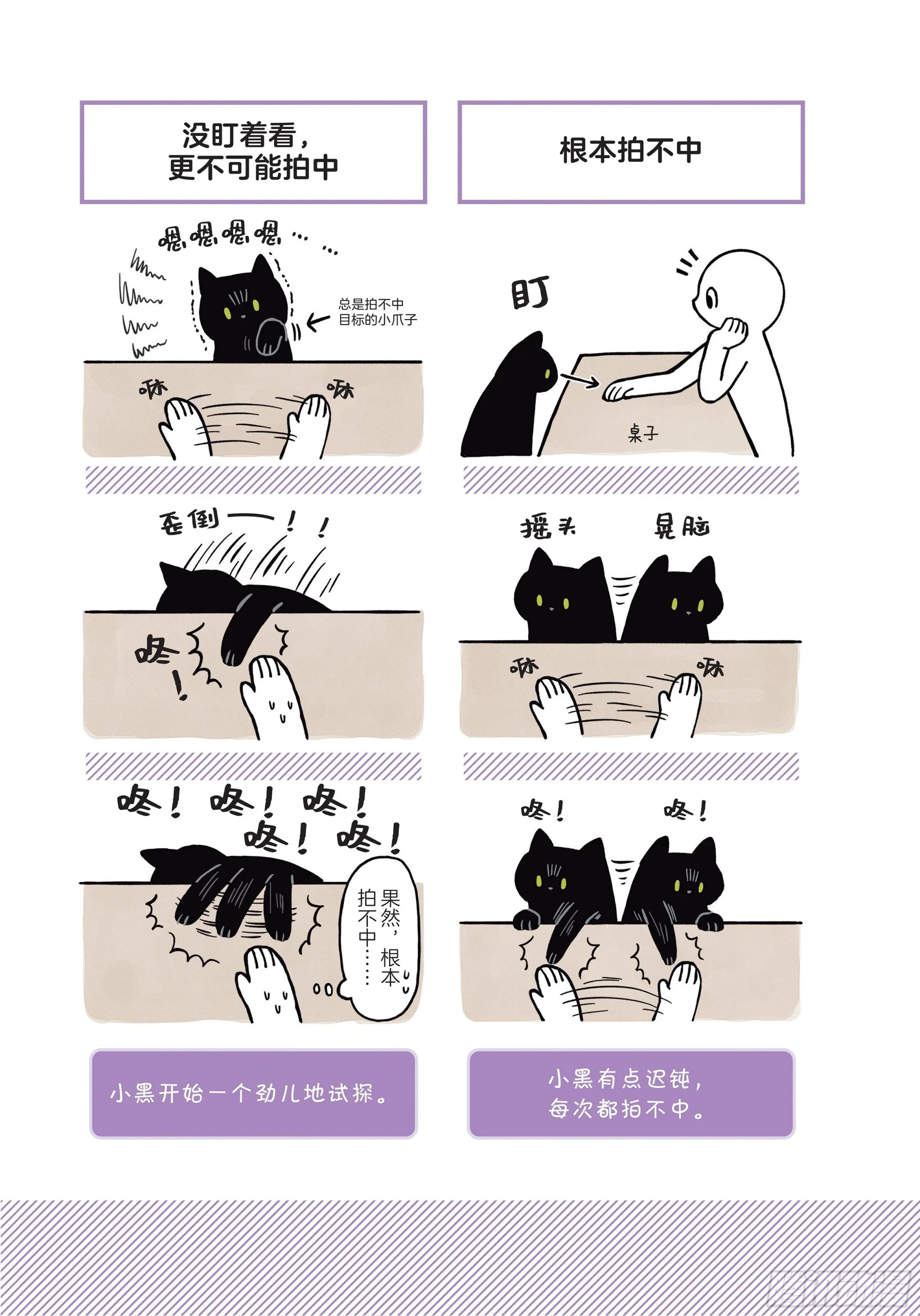 第1章 第一次与猫一起生活 第16页