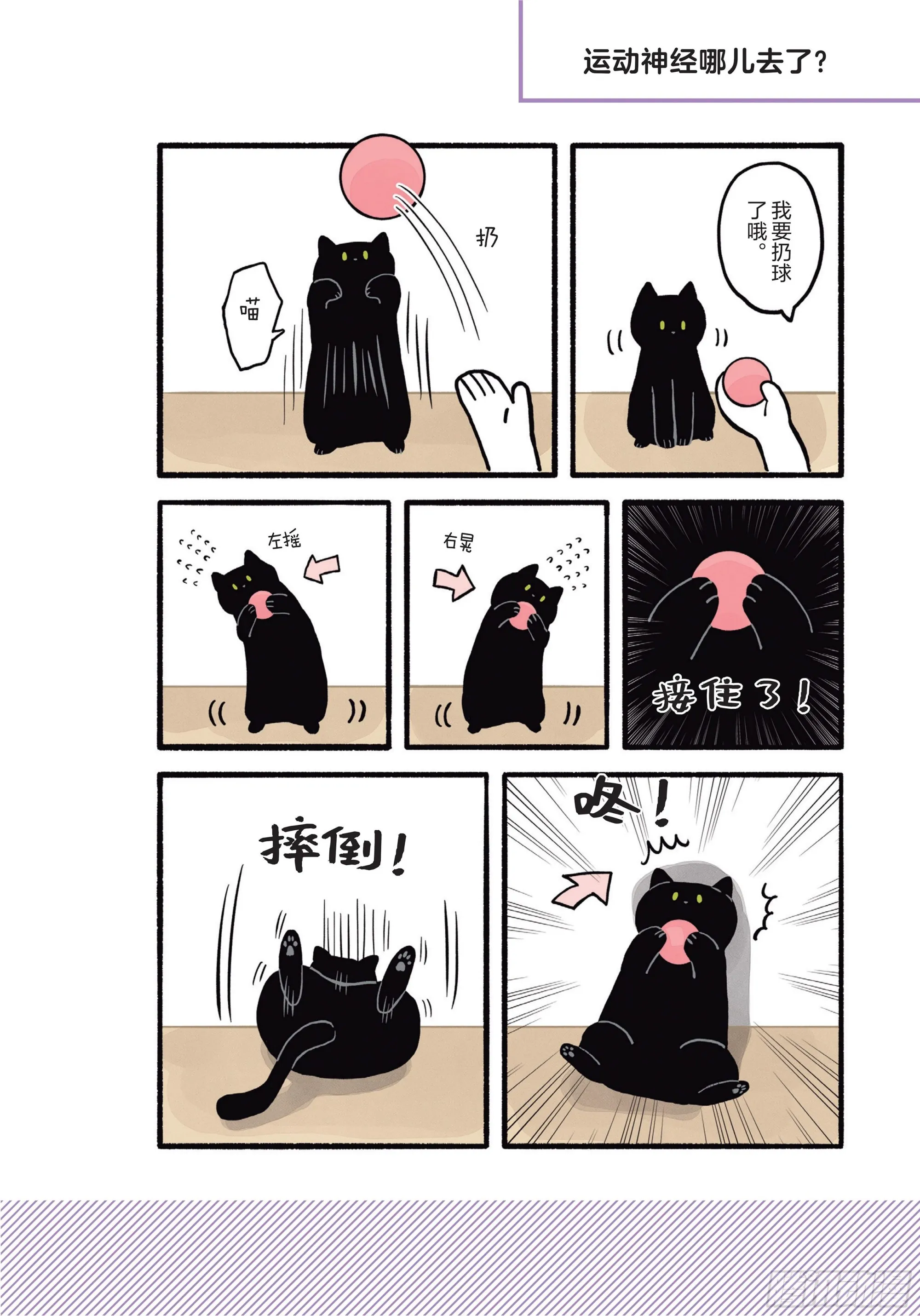 第1章 第一次与猫一起生活 第17页
