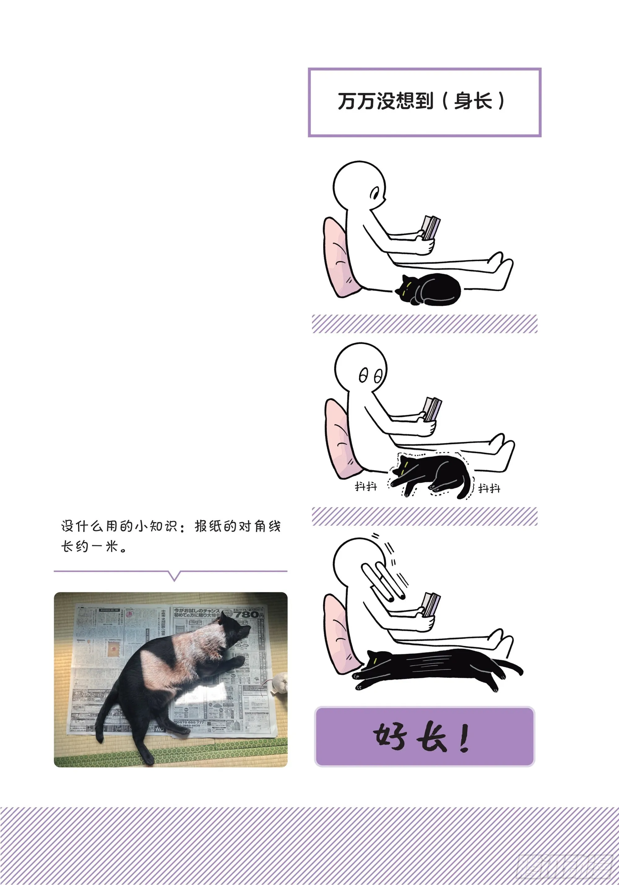 第1章 第一次与猫一起生活 第18页