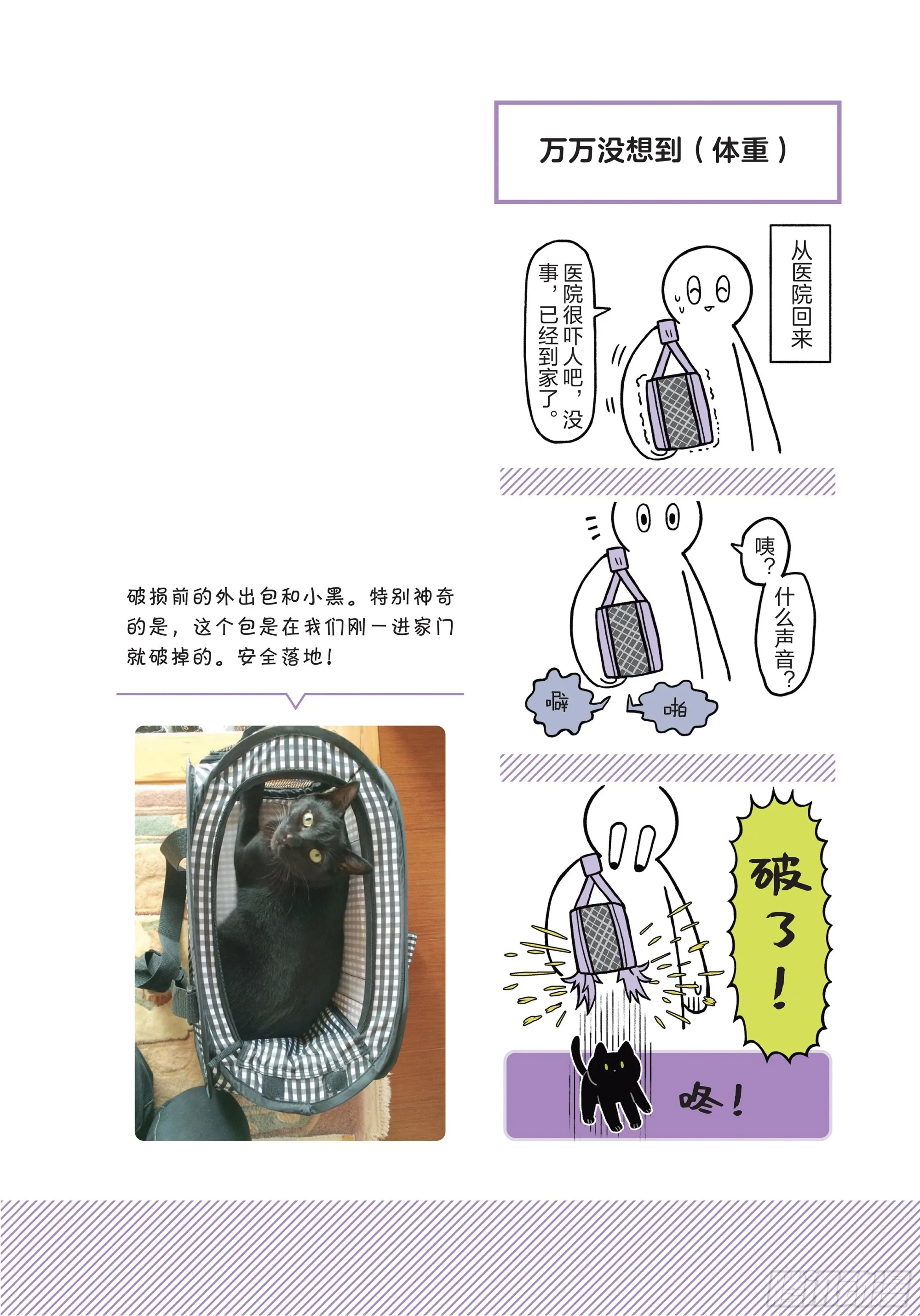 第1章 第一次与猫一起生活 第19页