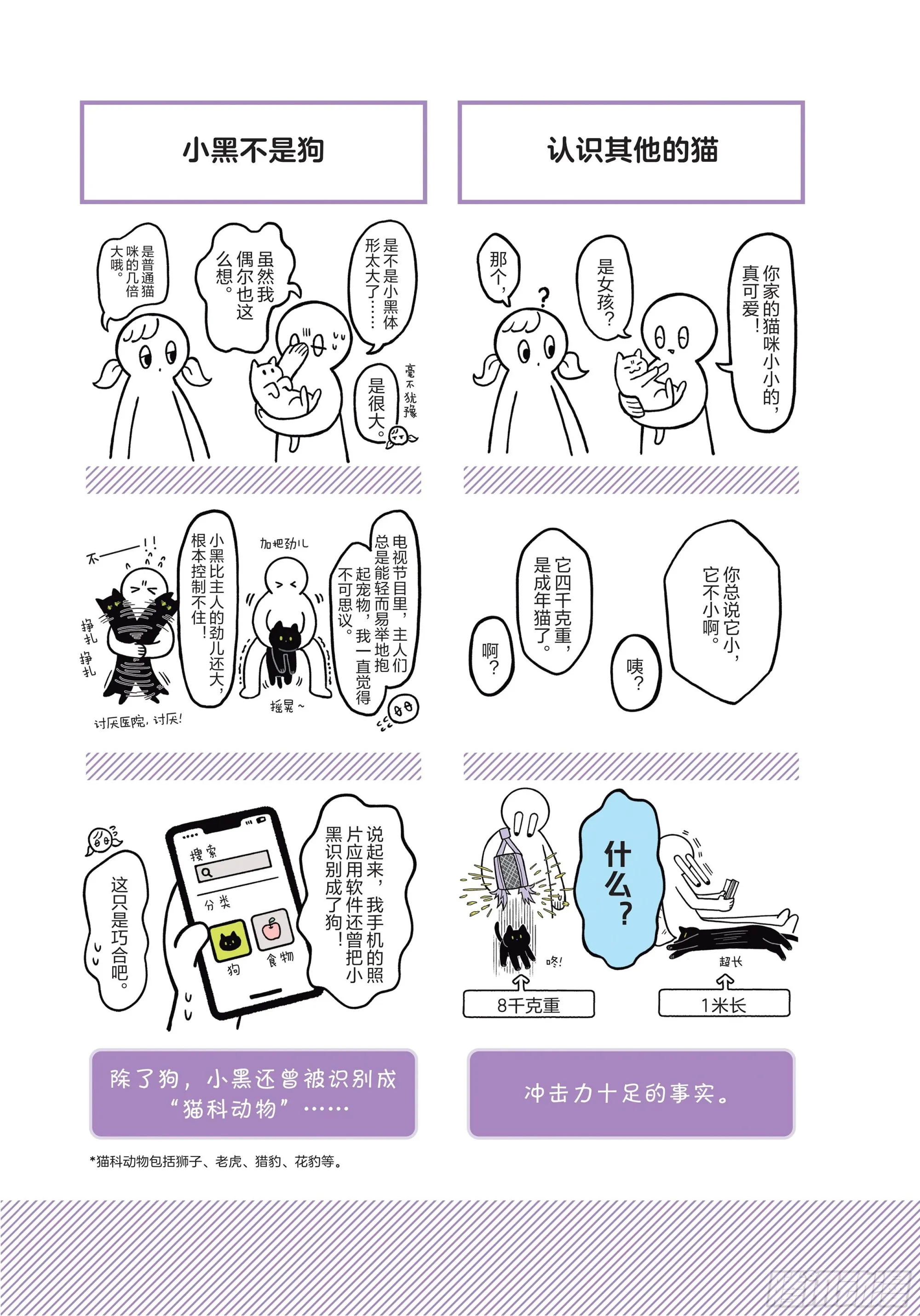 第1章 第一次与猫一起生活 第20页