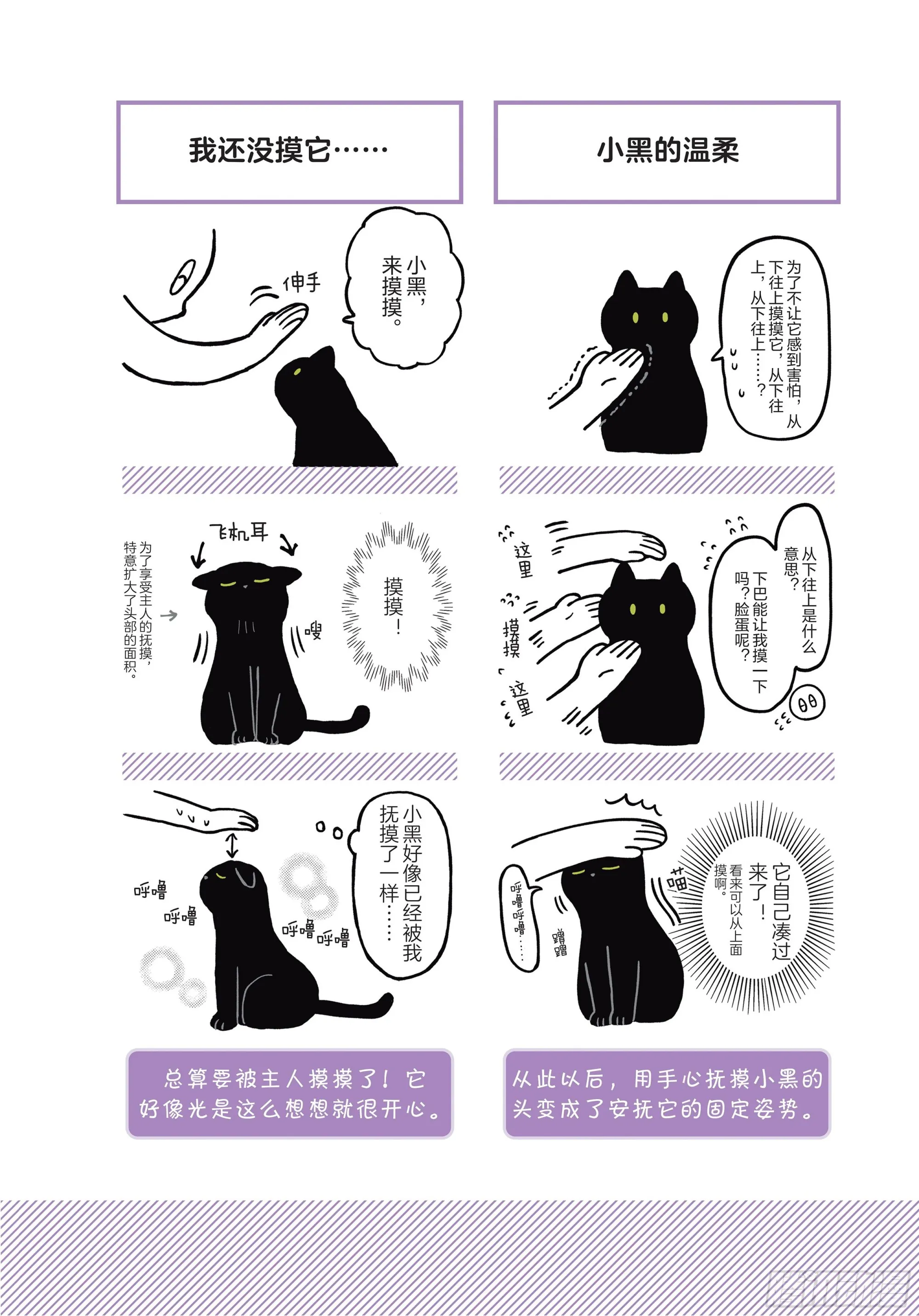 第1章 第一次与猫一起生活 第21页
