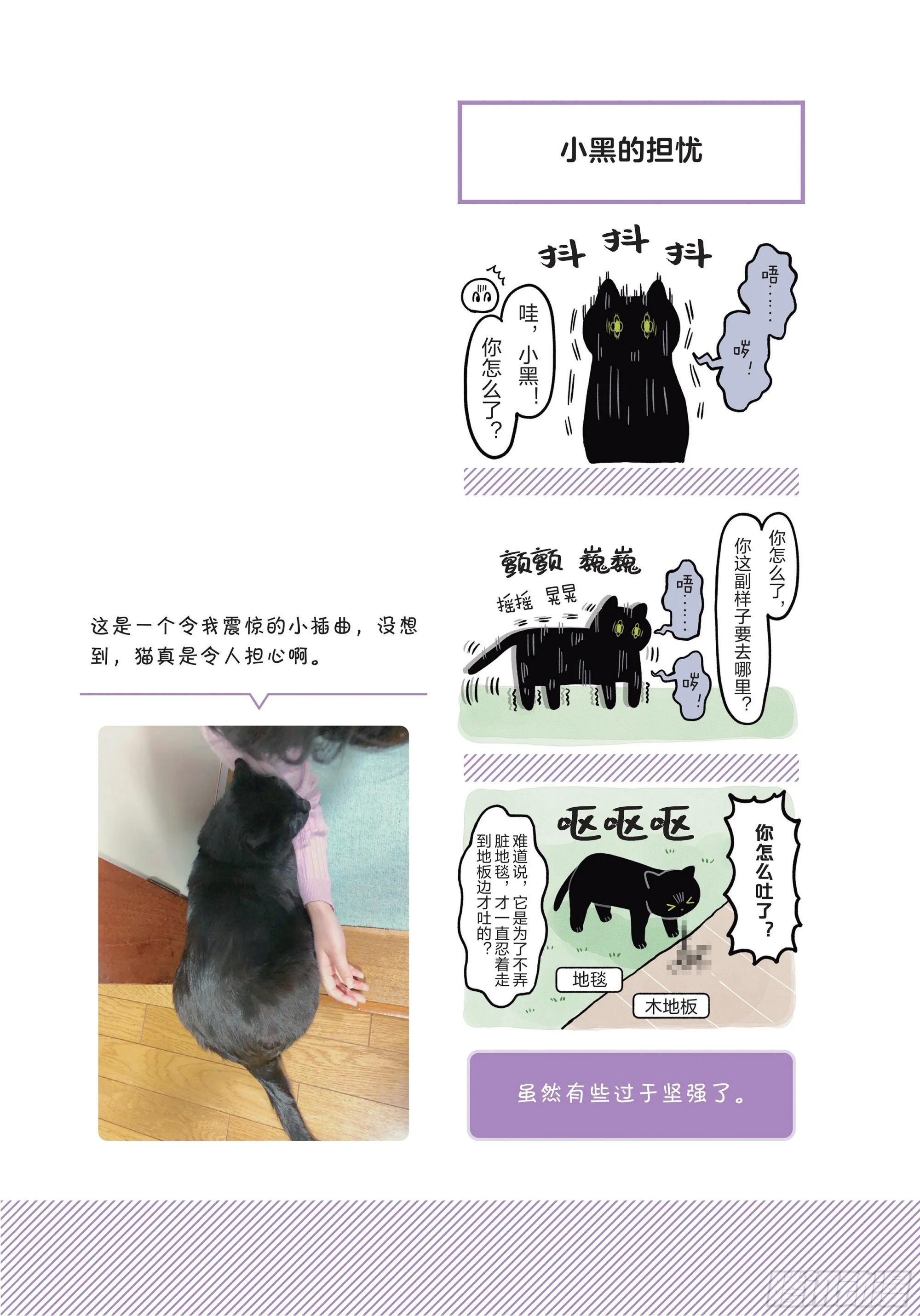 第1章 第一次与猫一起生活 第22页