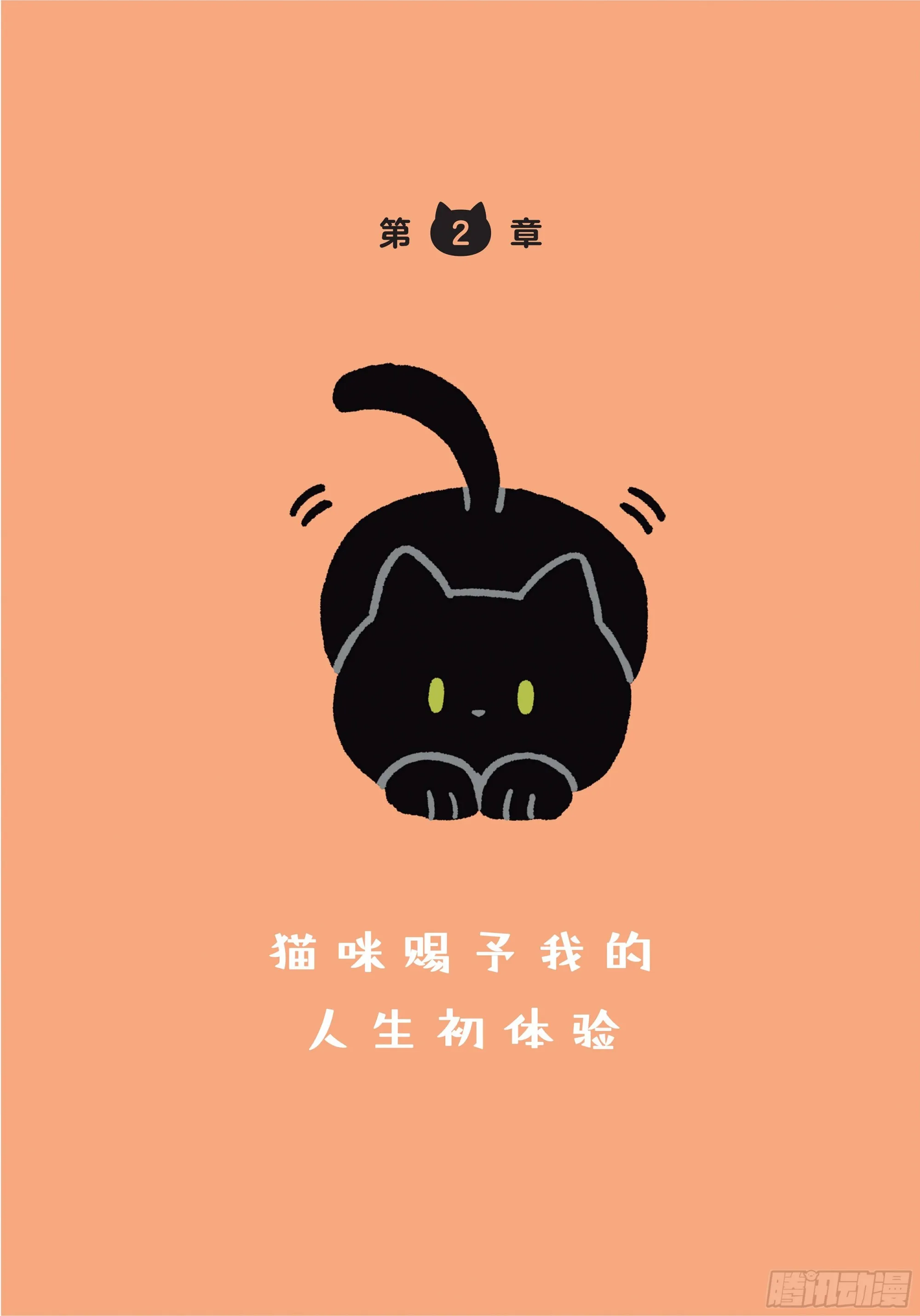 第2章 猫咪赐予我的人生初体验 第1页