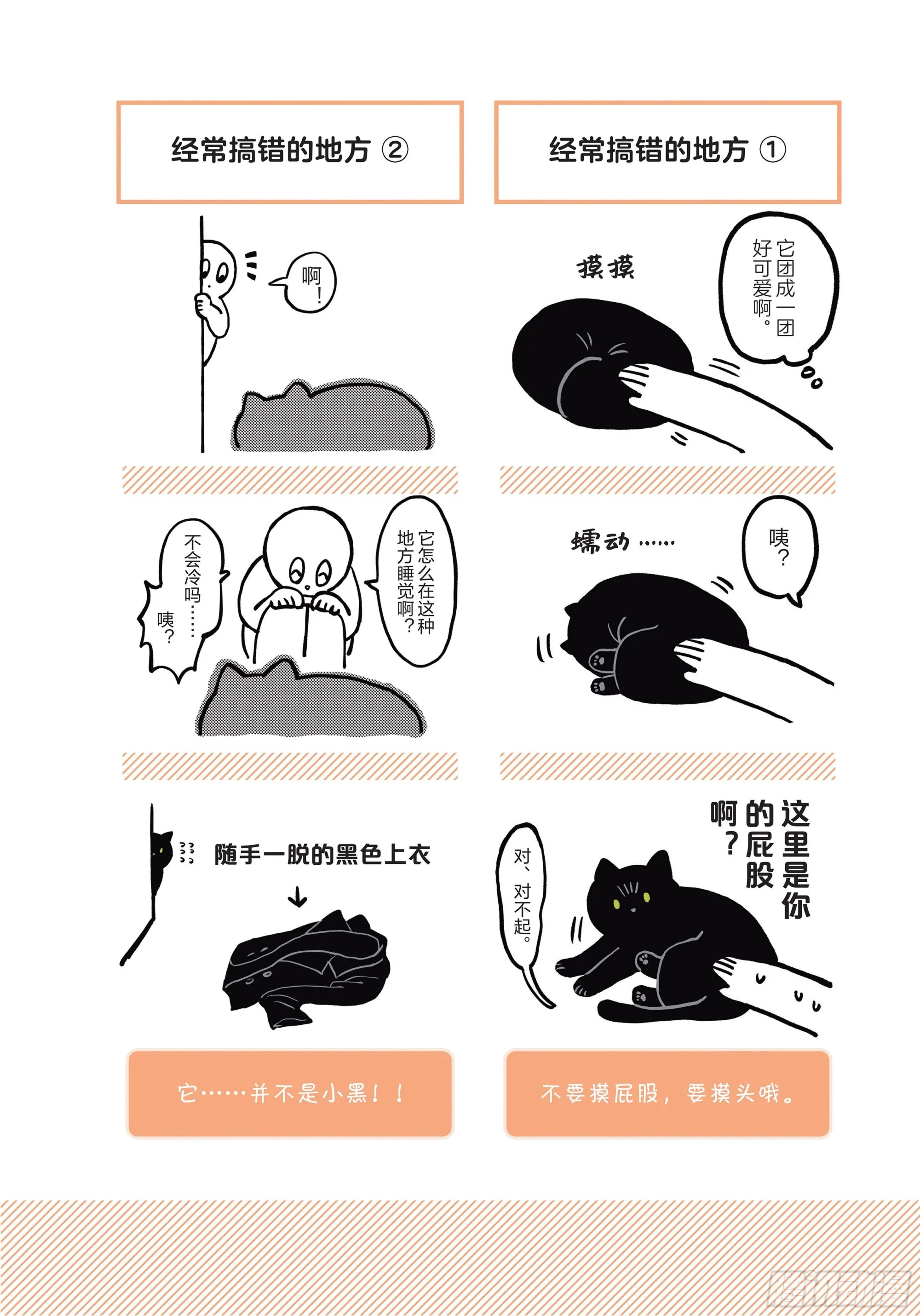 第2章 猫咪赐予我的人生初体验 第2页