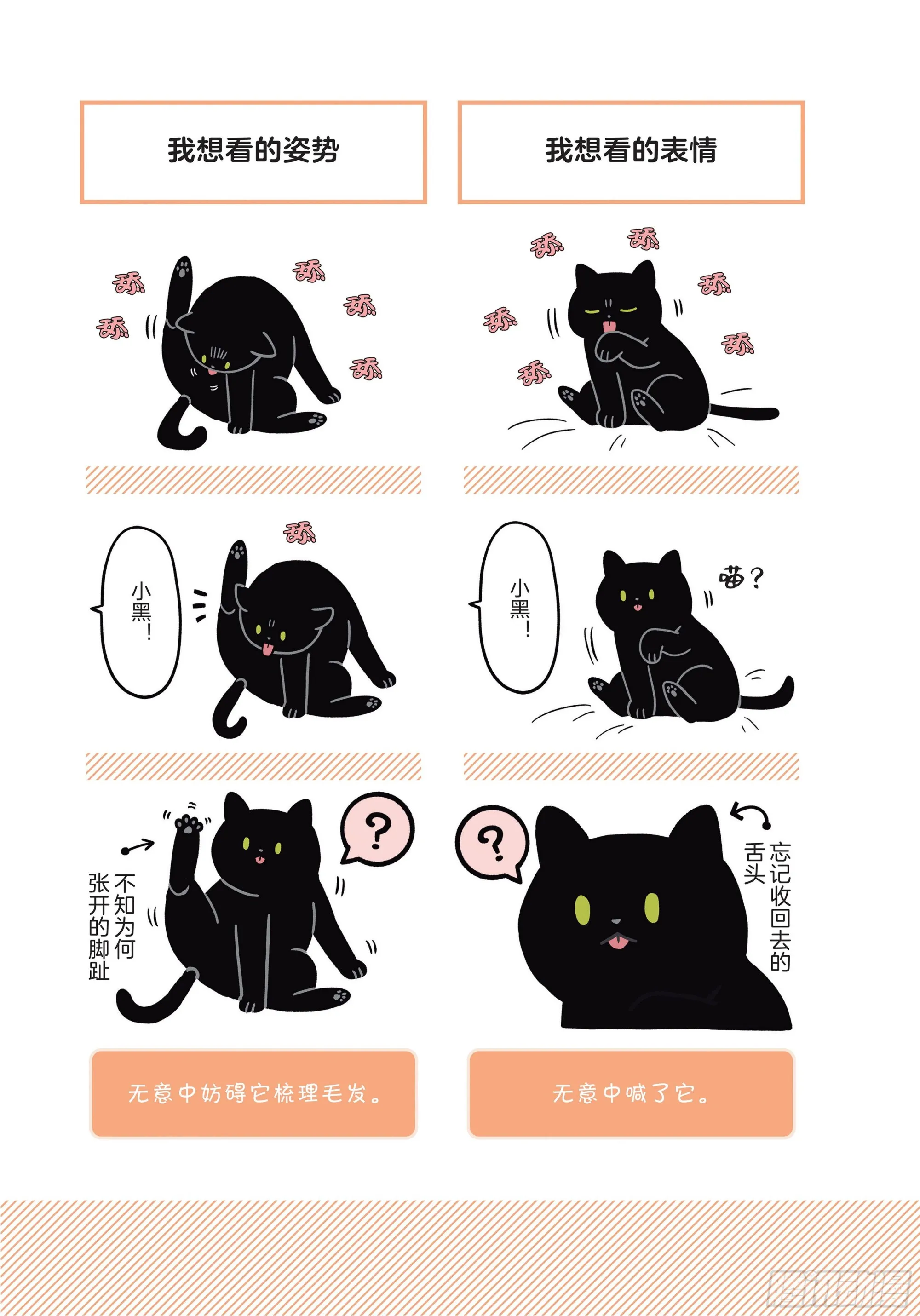 第2章 猫咪赐予我的人生初体验 第3页