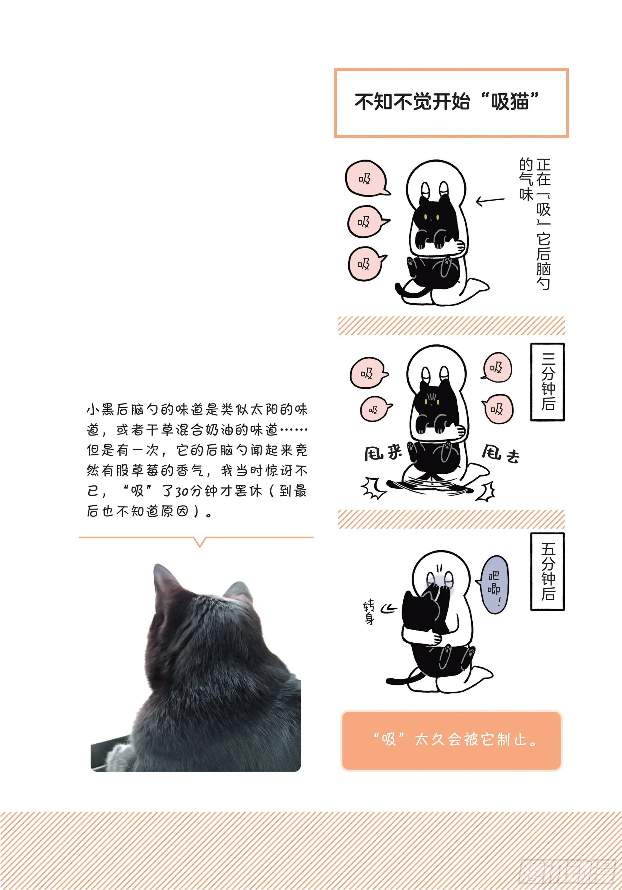 第2章 猫咪赐予我的人生初体验 第4页